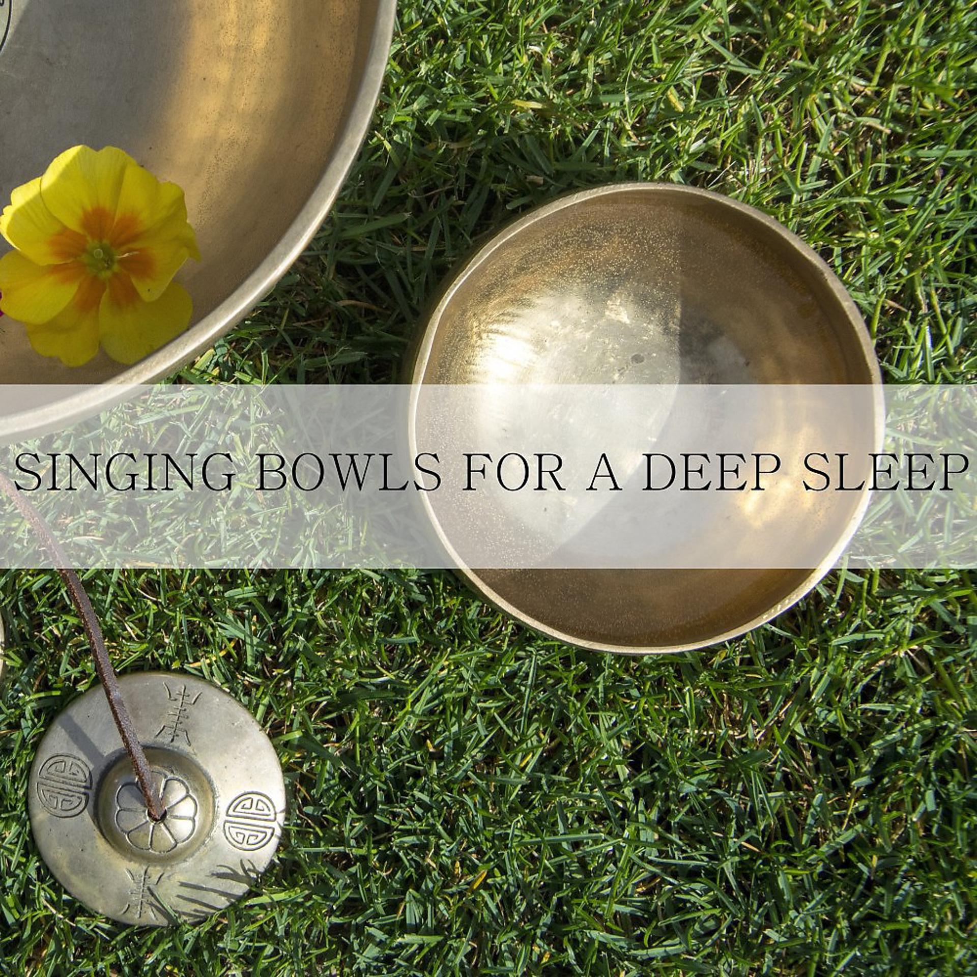 Постер альбома Singing Bowls for a Deep Sleep