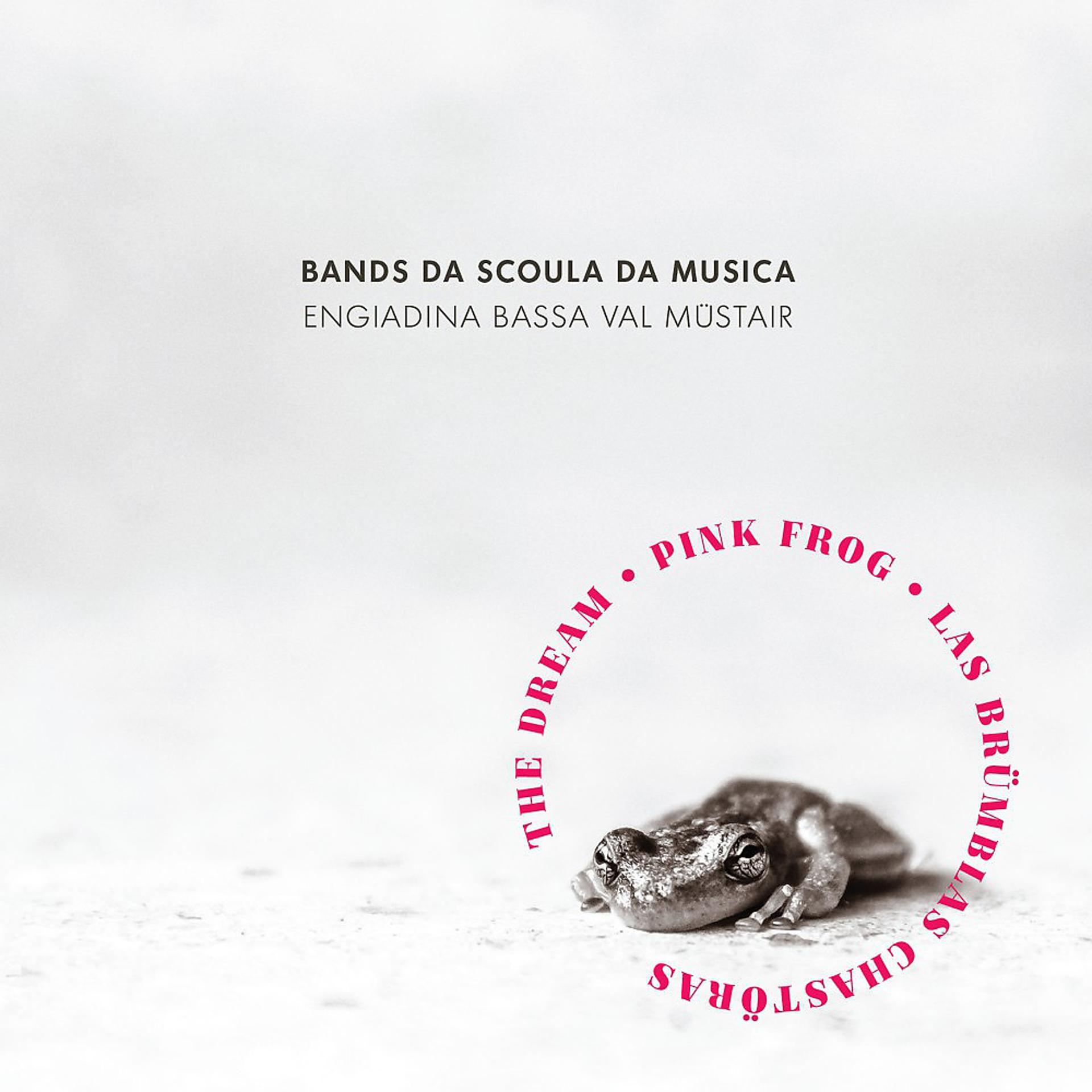 Постер альбома Engiadina Bassa Val Müstair (Bands da Scoula da Musica)