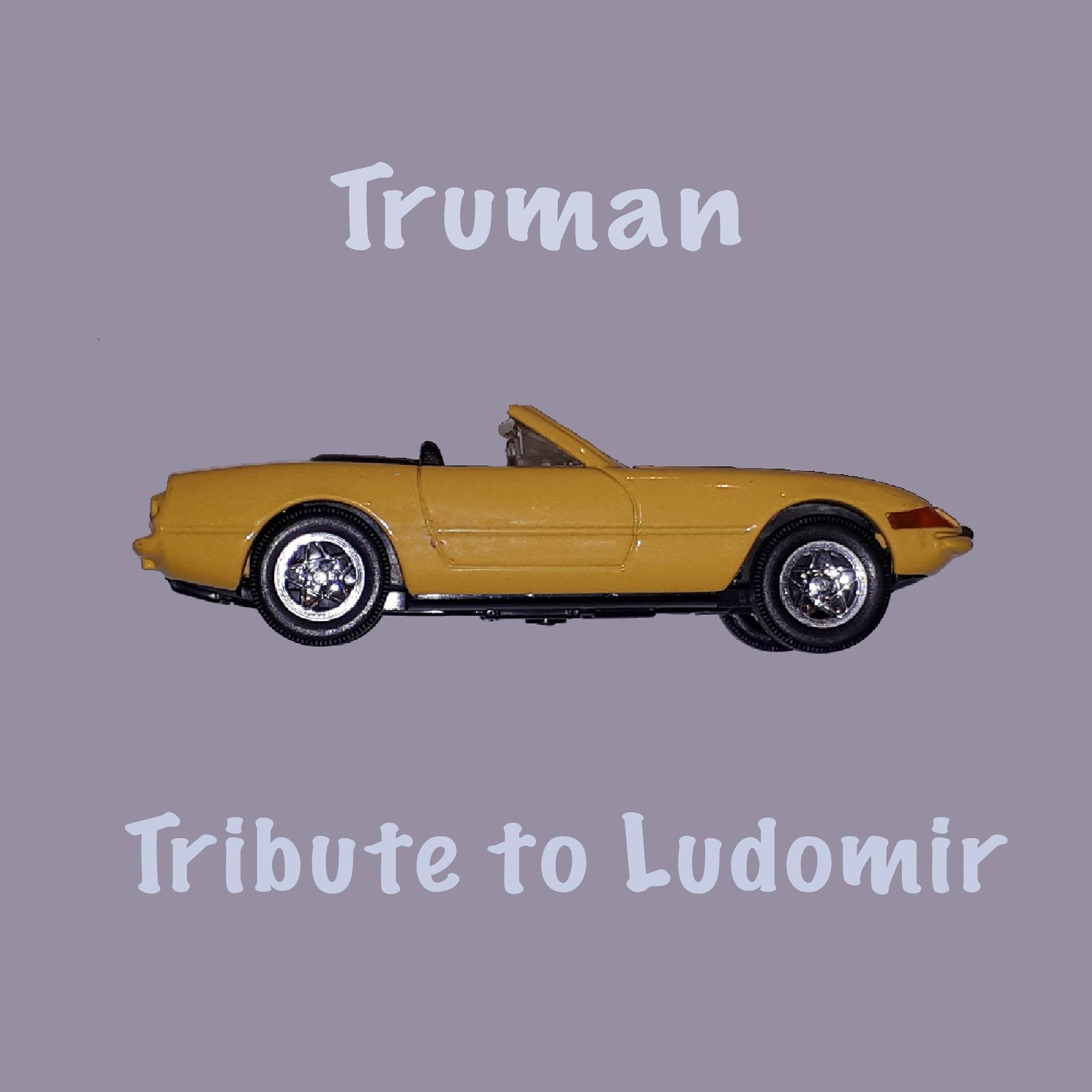 Постер альбома Tribute to Ludomir