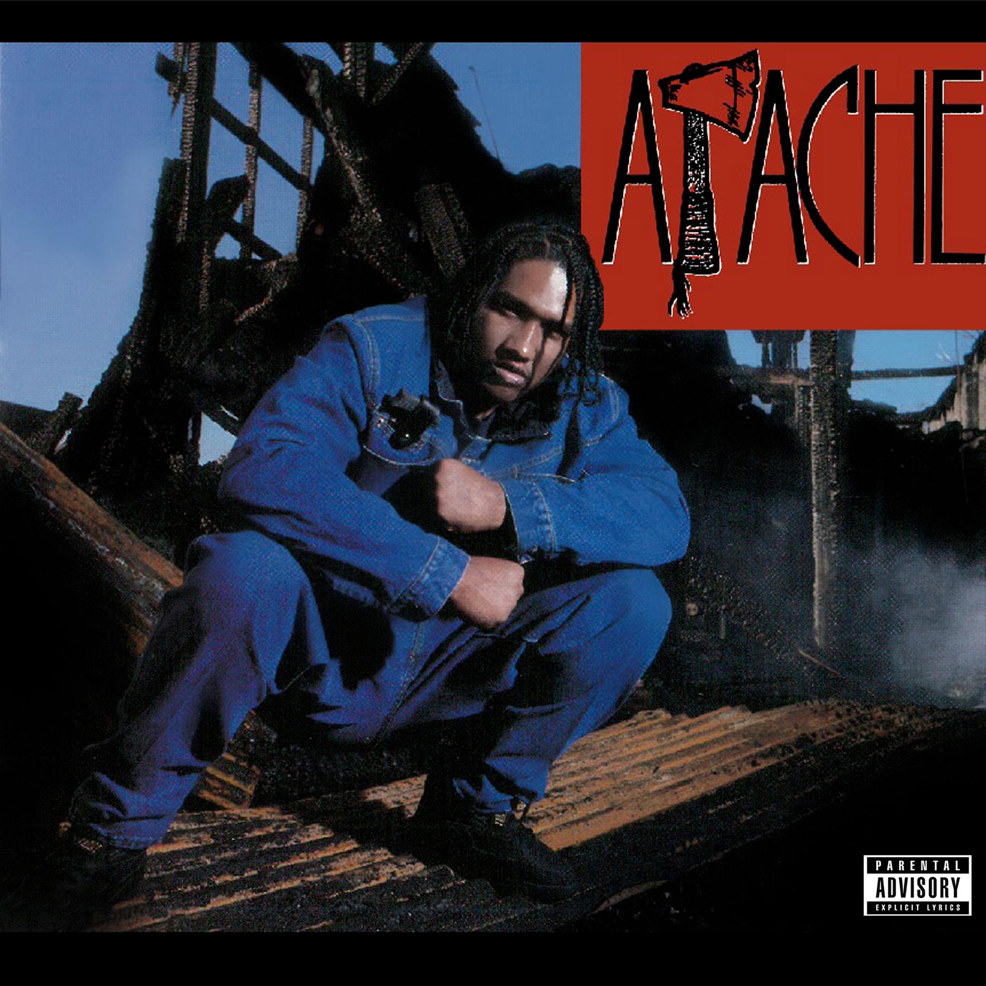 Постер альбома Apache Ain't Shit