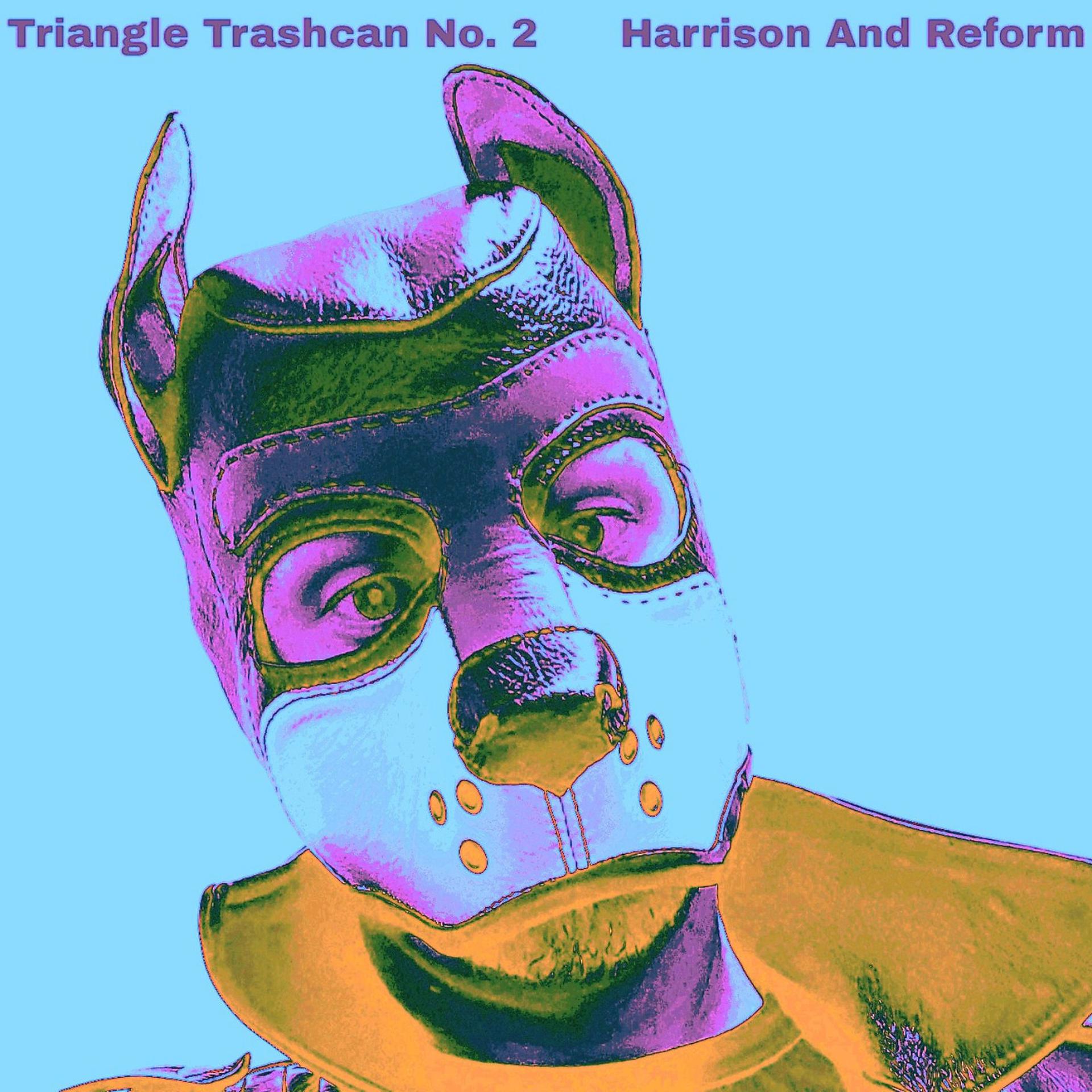 Постер альбома Triangle Trashcan No. 2