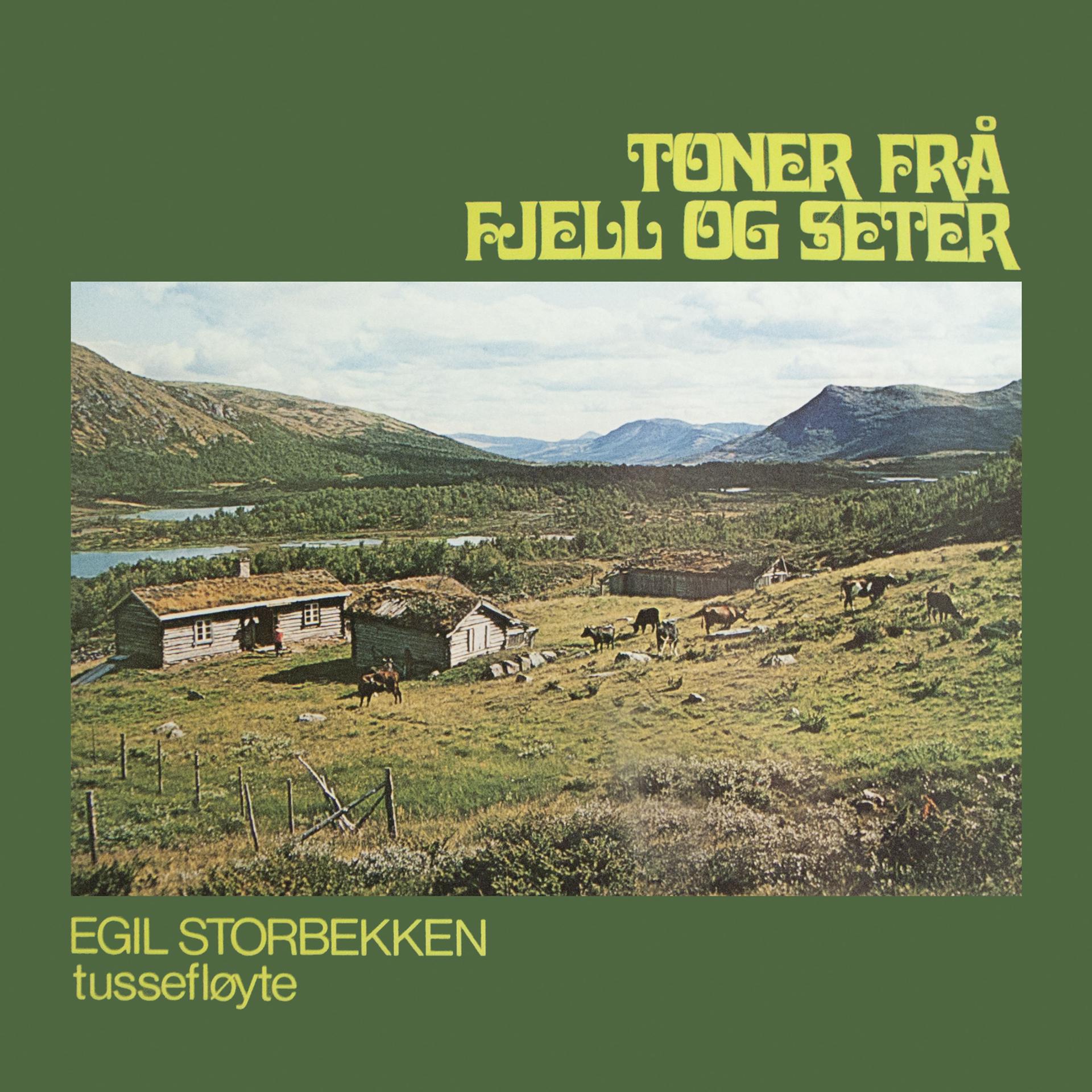 Постер альбома Toner fra fjell og sæter