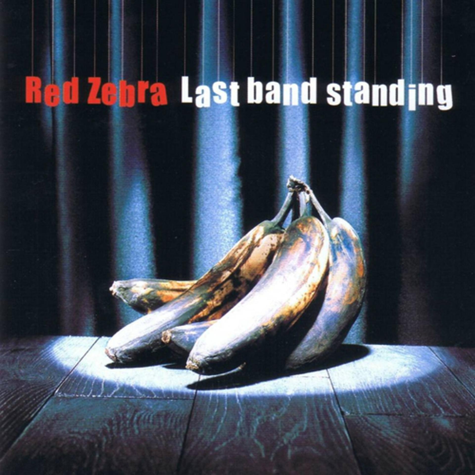 Постер альбома Last Band Standing