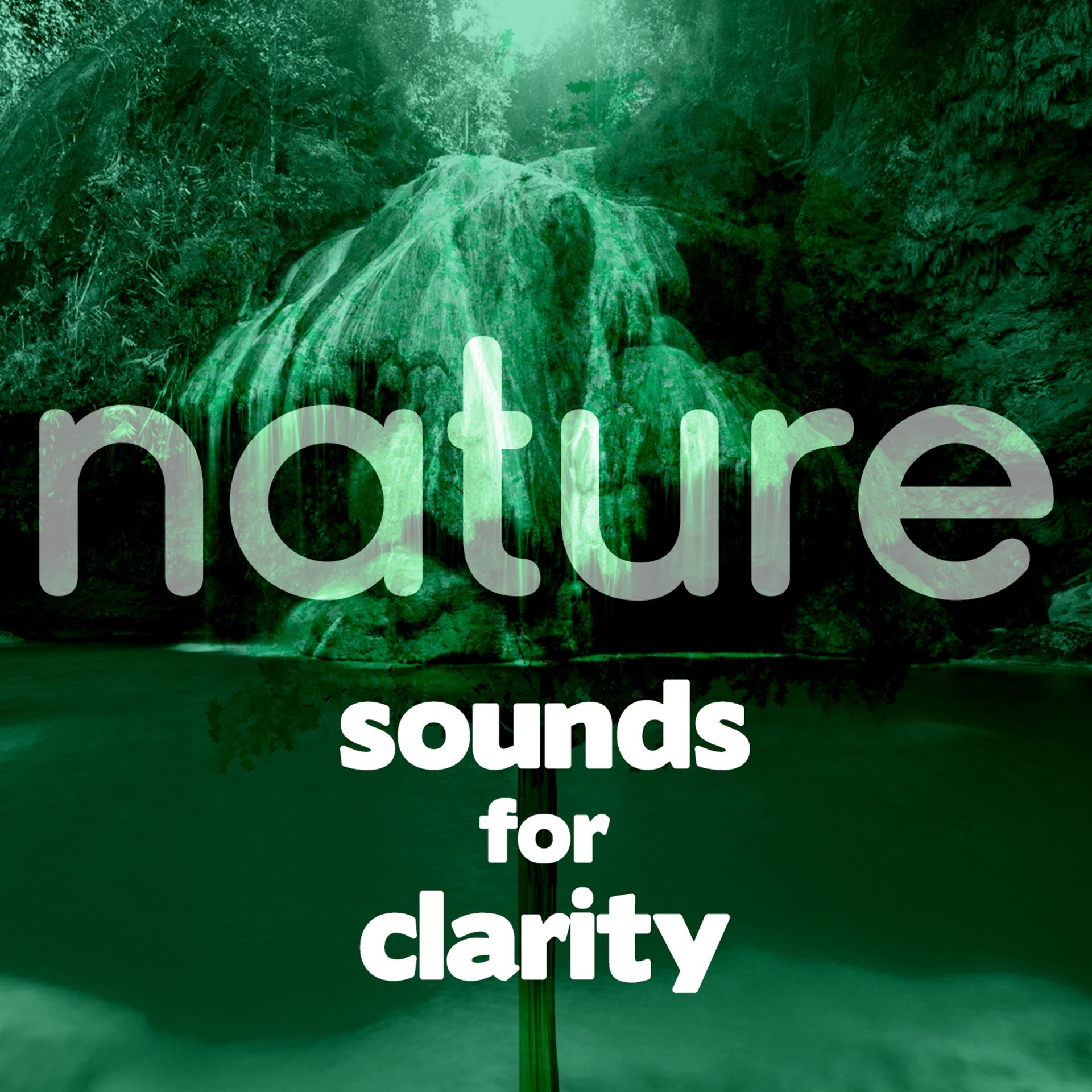 Постер альбома Nature Sounds for Clarity