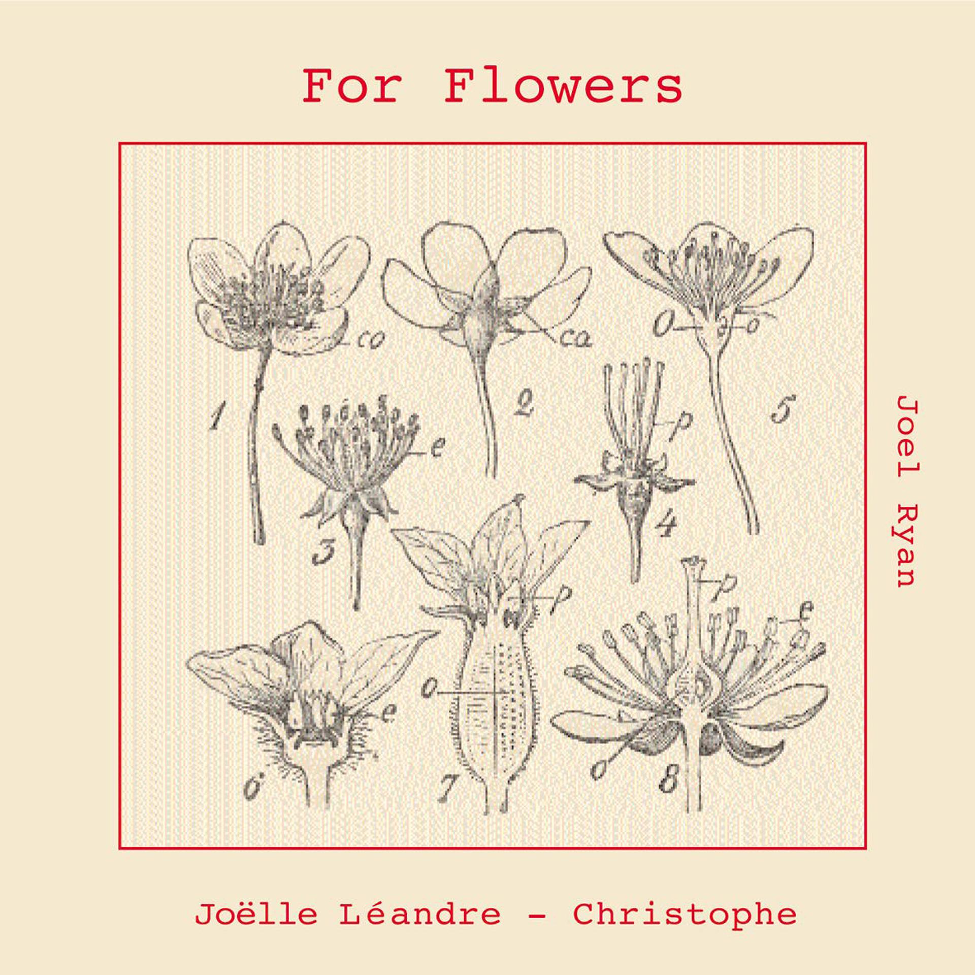 Постер альбома For Flowers