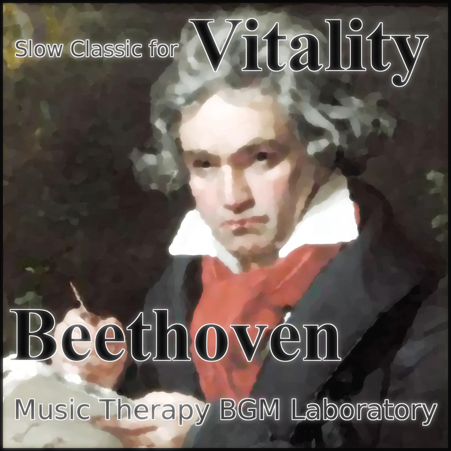 Постер альбома Slow Classic for Vitality "Beethoven"