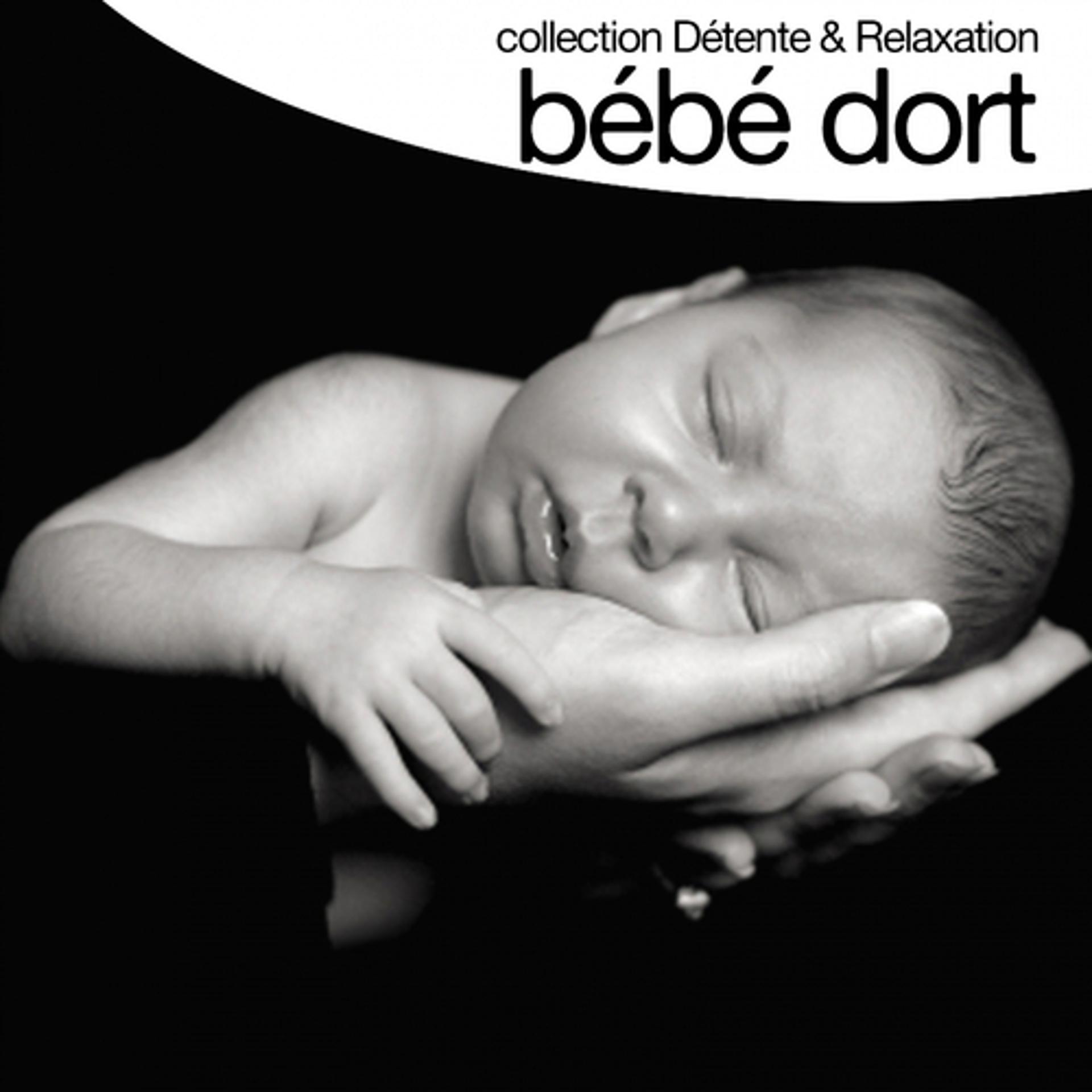 Постер альбома Bébé dort