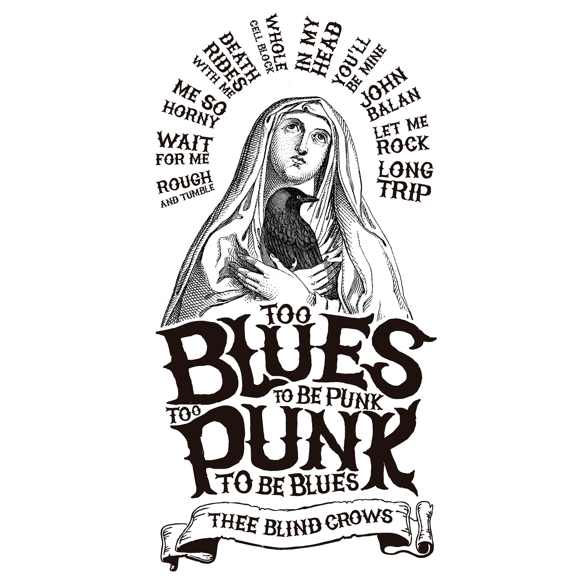Постер альбома Too Blues to Be Punk, Too Punk to Be Blues