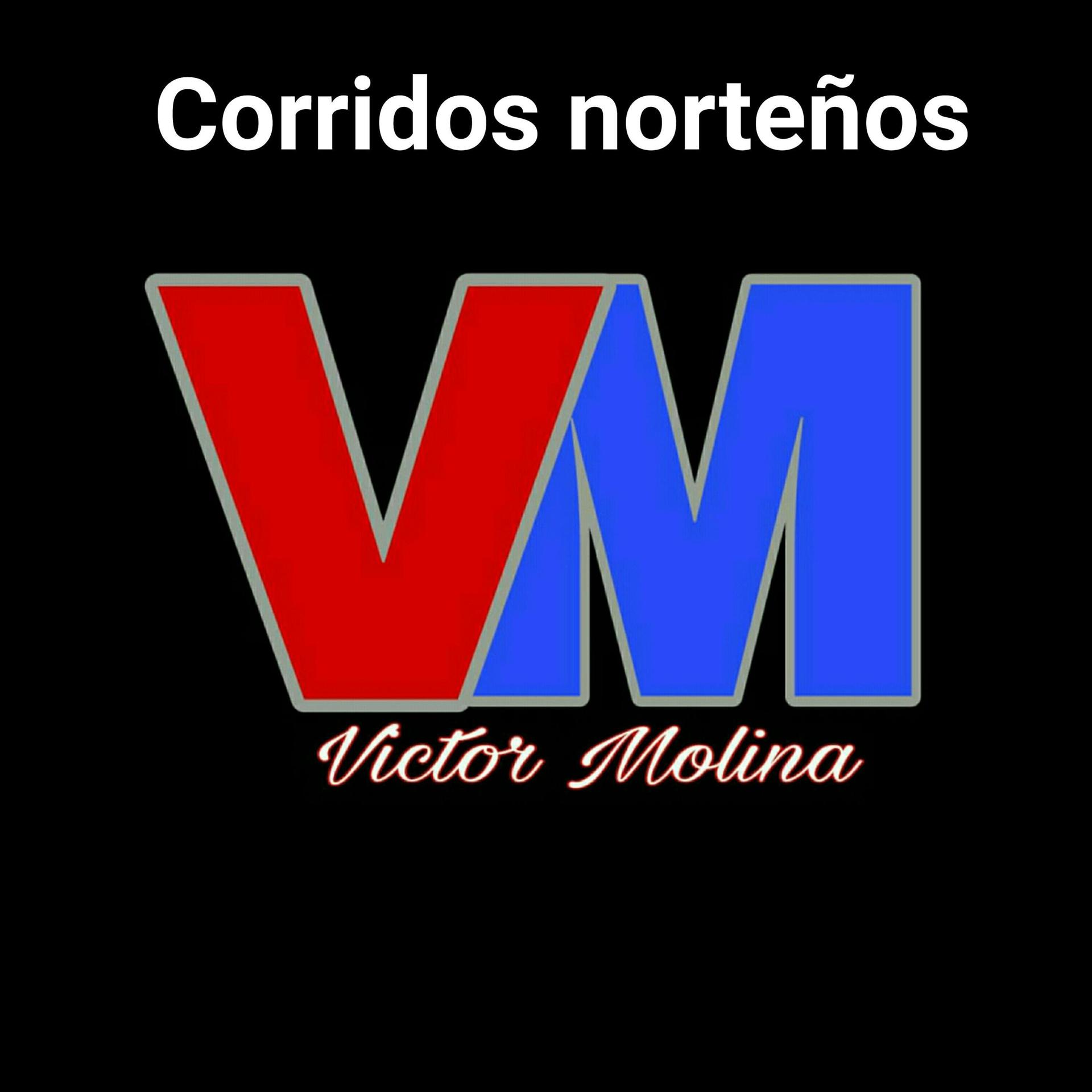Постер альбома Corridos norteños