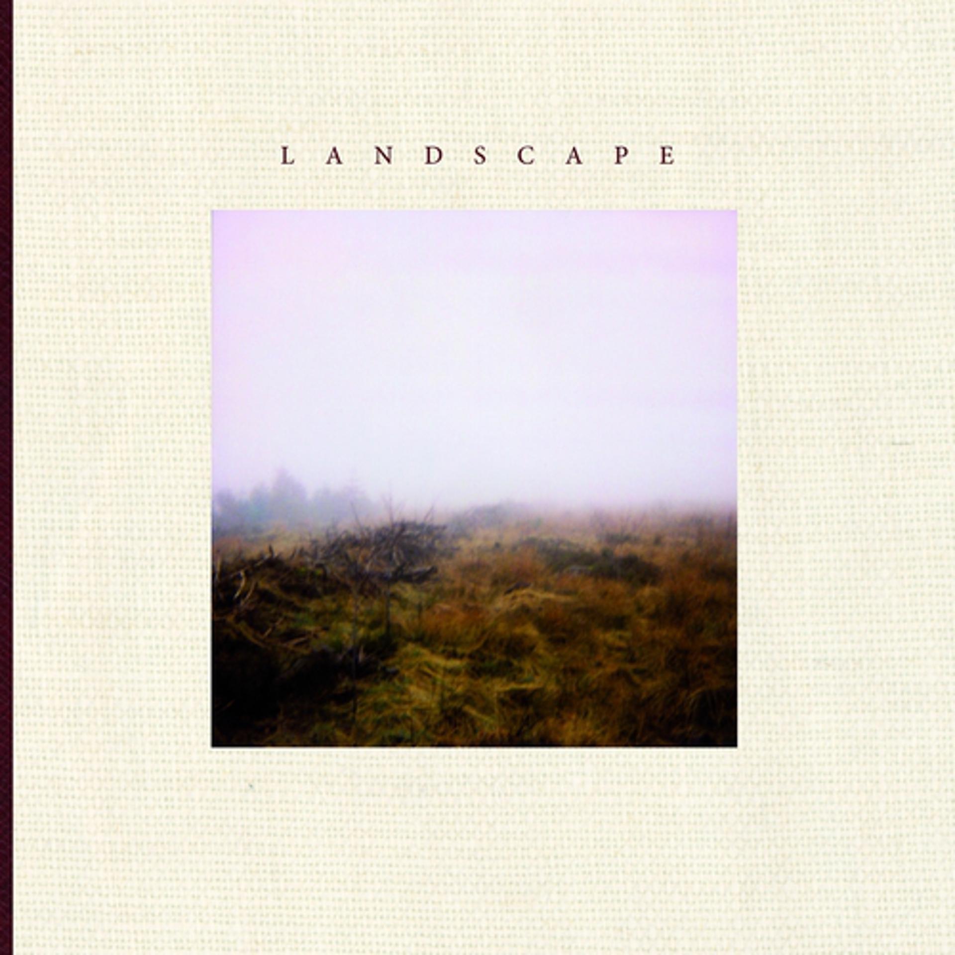 Постер альбома Landscape