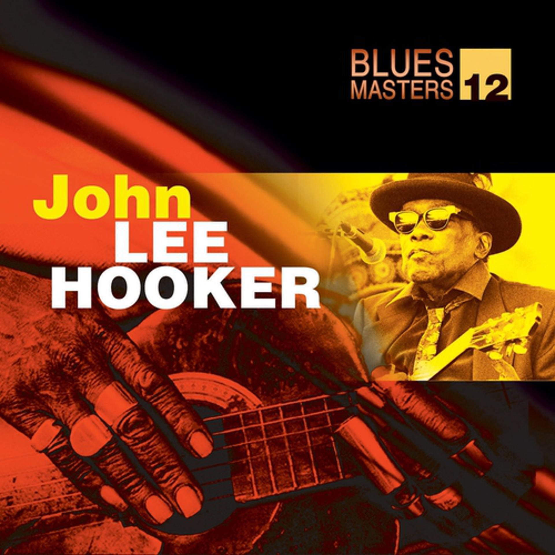 Постер альбома Blues Masters Vol. 12