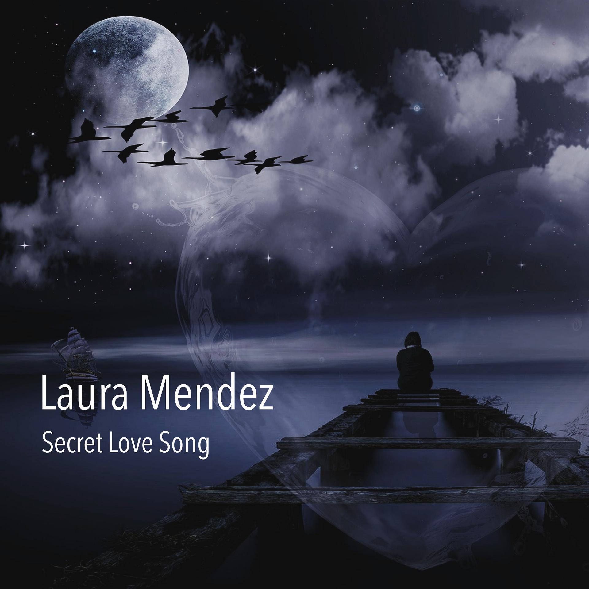 Постер альбома Secret Love Song