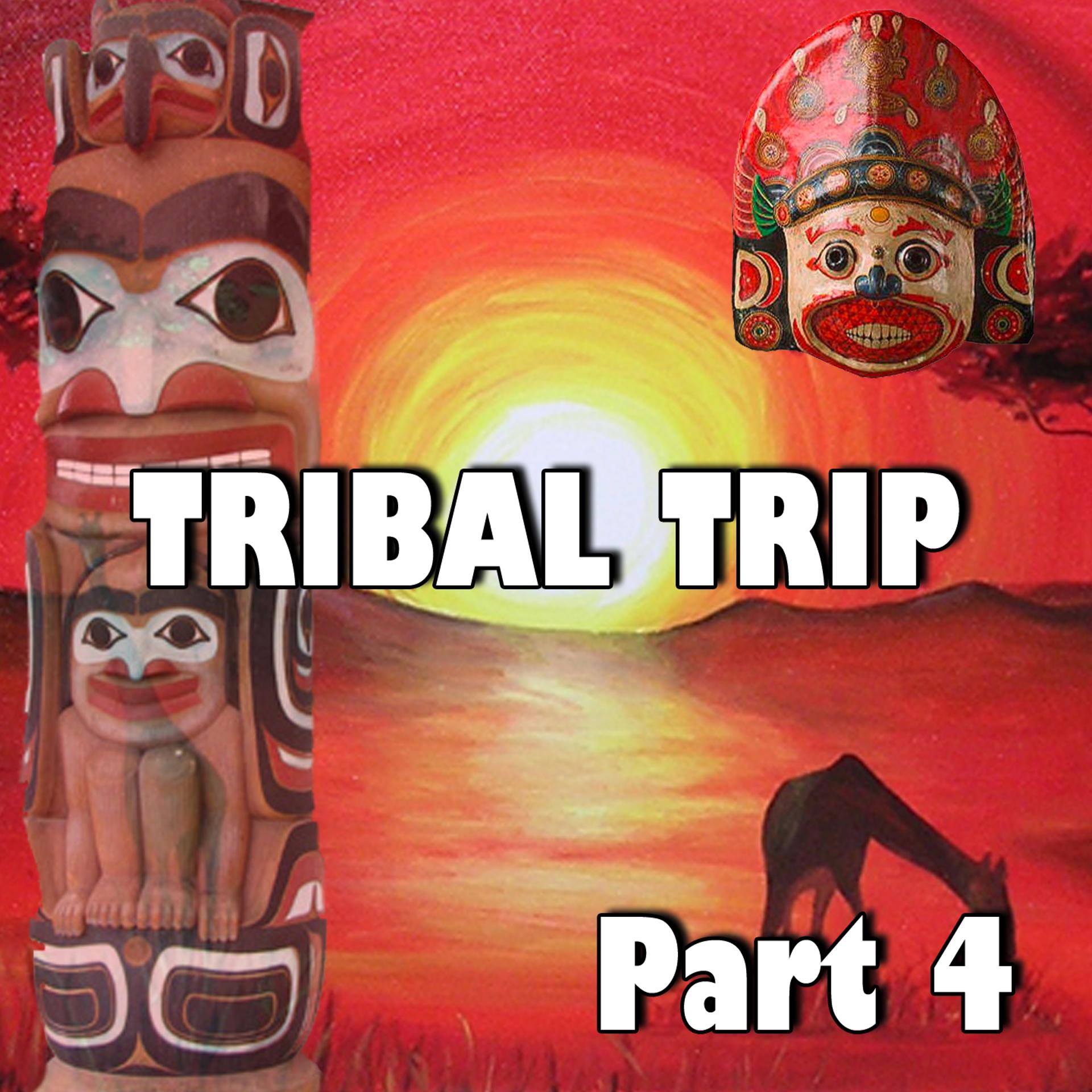 Постер альбома Tribal Trip, Pt. 4
