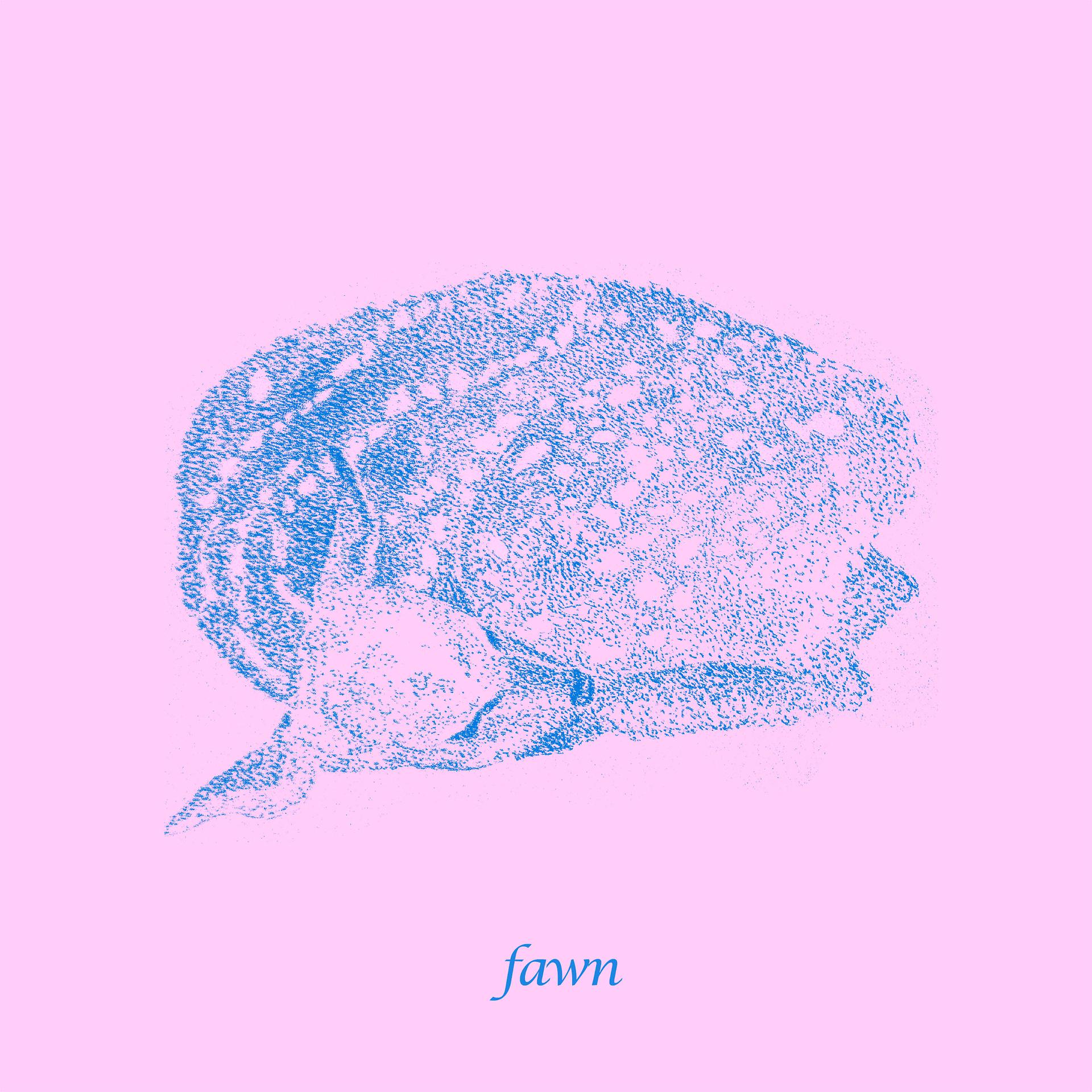 Постер альбома Fawn