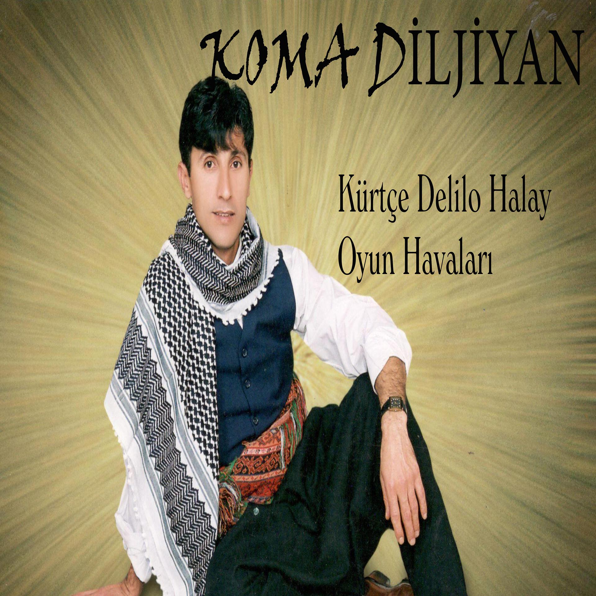 Постер альбома Kürtçe Delilo Halay / Oyun Havaları