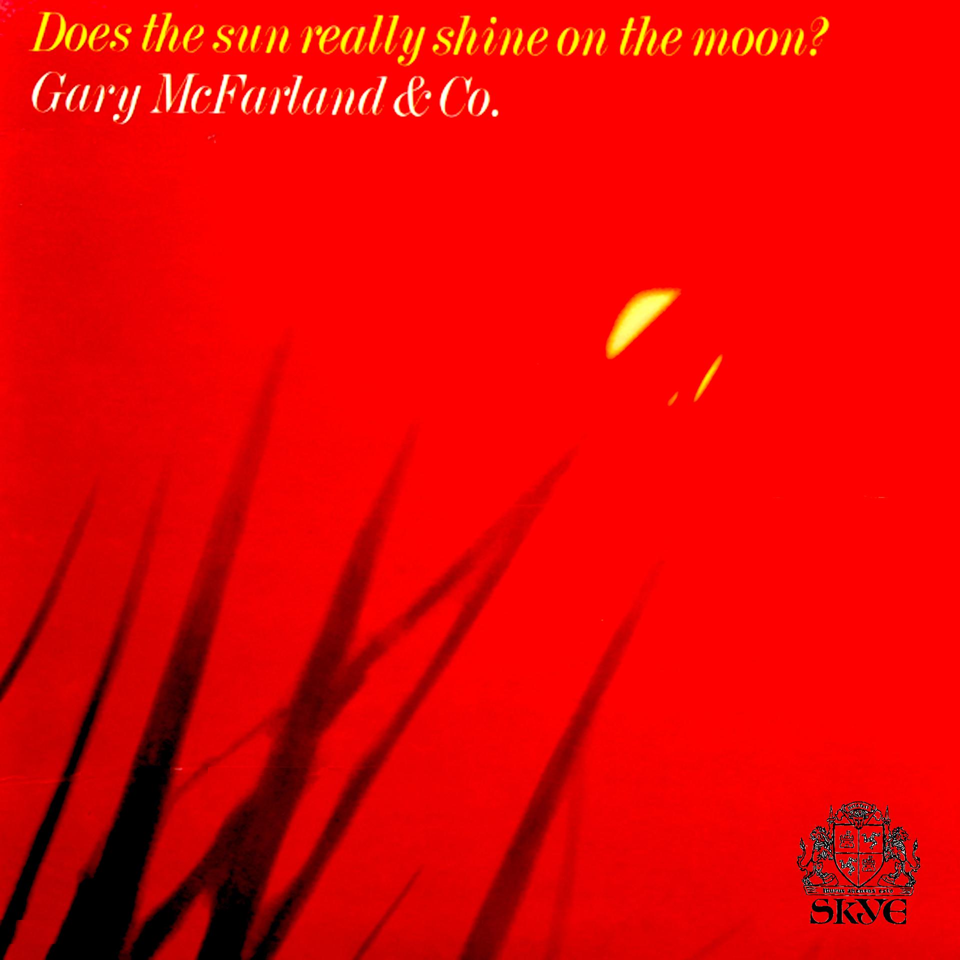 Постер альбома Does the Sun Really Shine on the Moon?