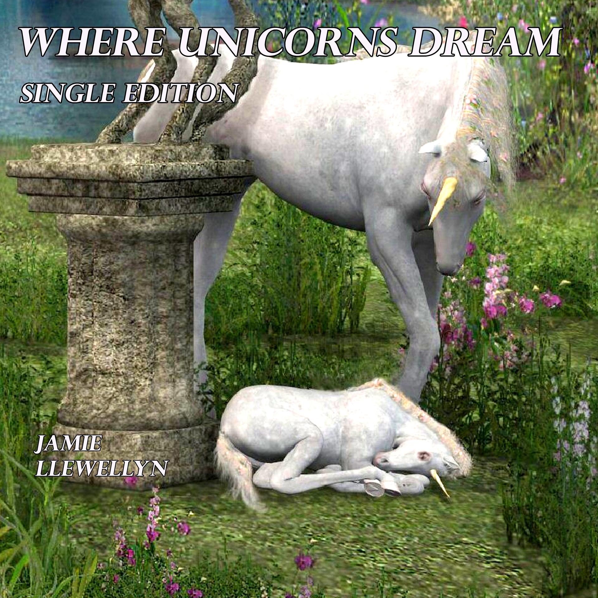 Постер альбома Where Unicorns Dream