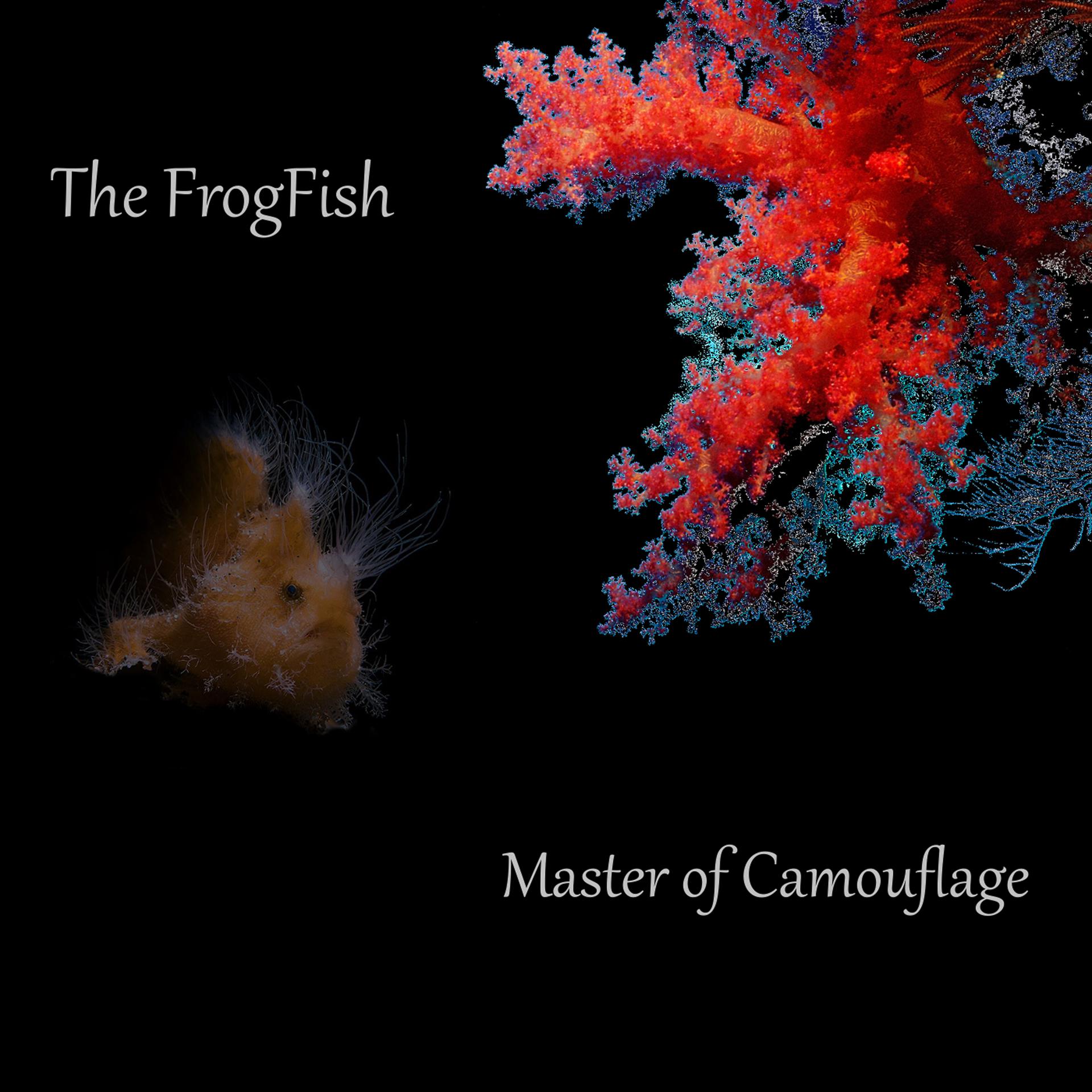 Постер альбома Master of Camouflage