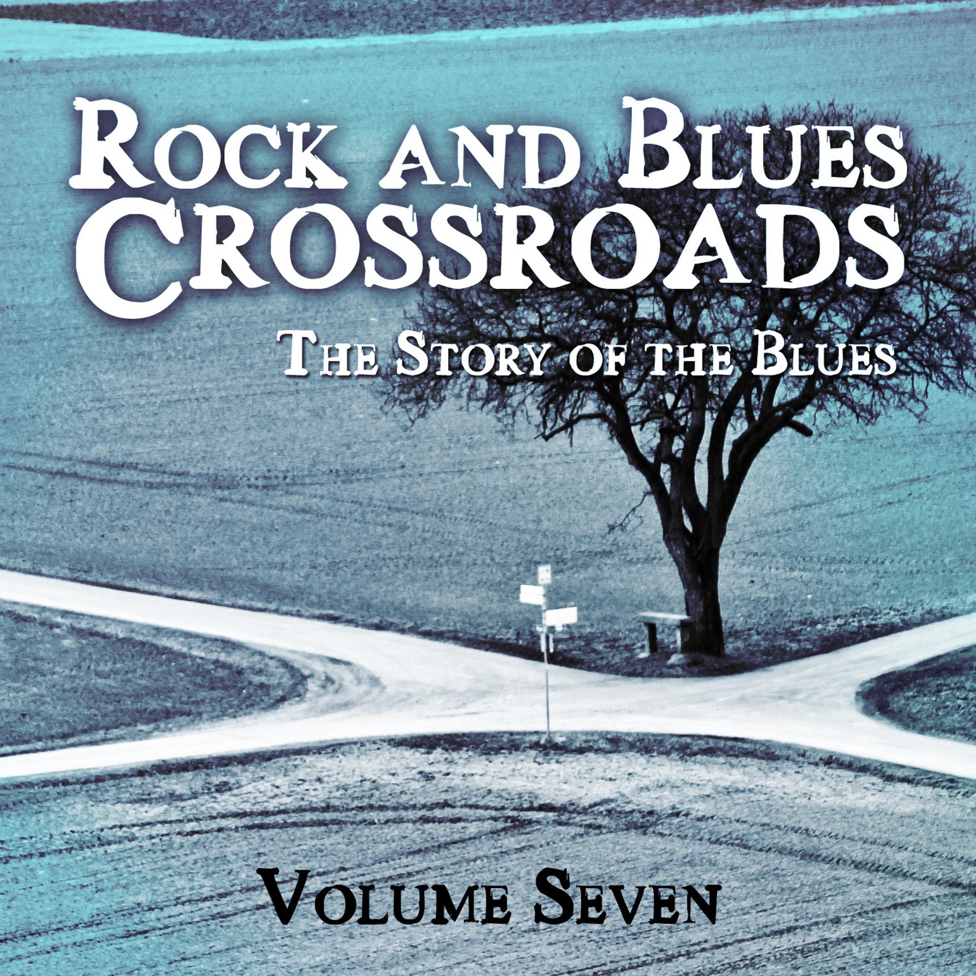 Постер альбома Rock and Blues Crossroads - The Story of the Blues, Vol. 7