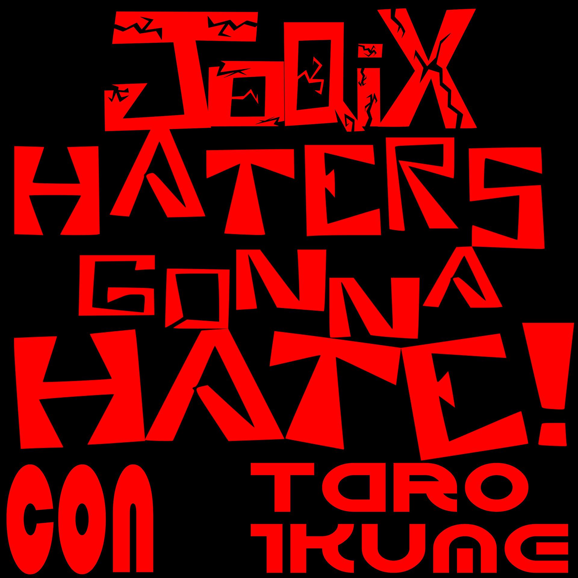 Постер альбома Haters Gonna Hate (feat. Taro Ikume)