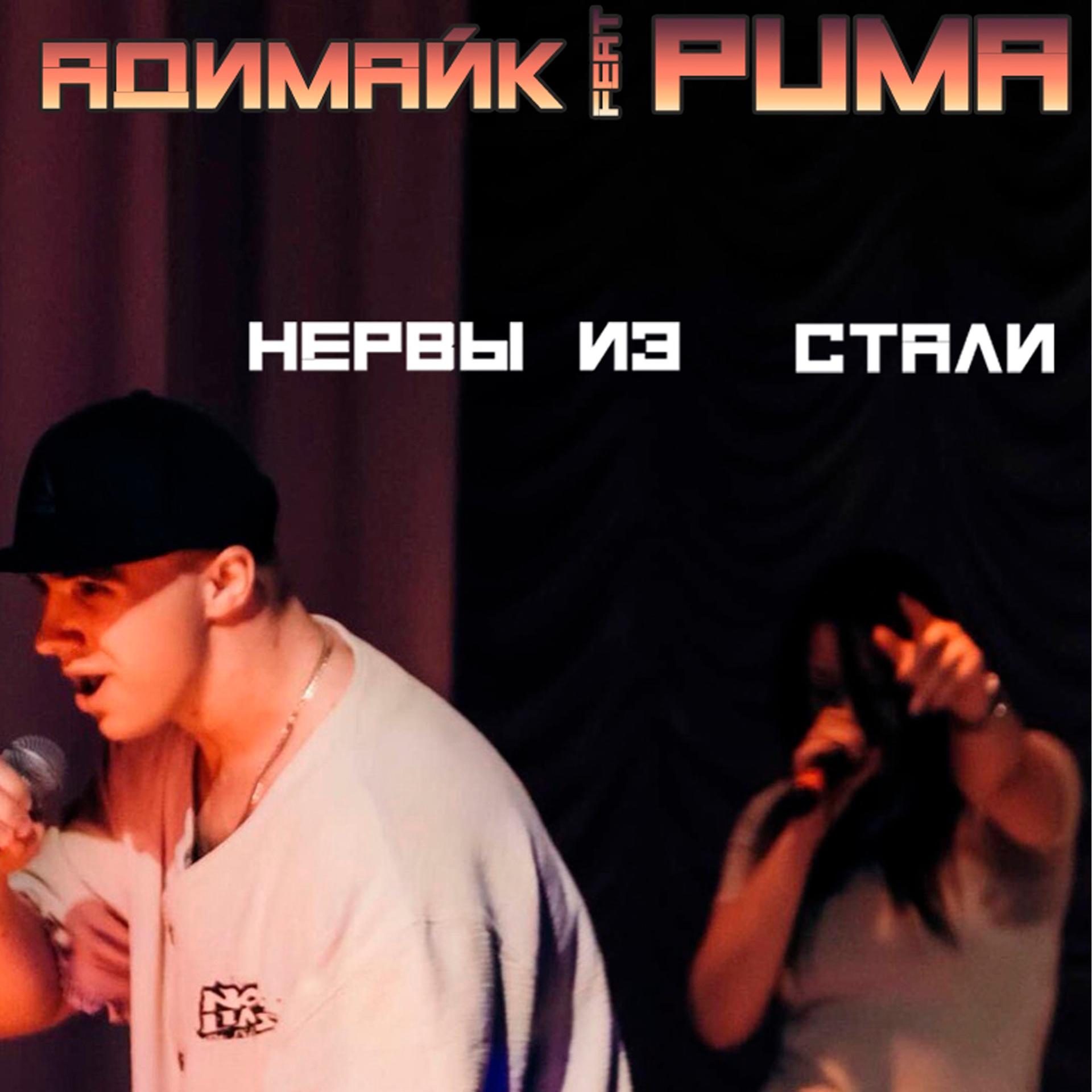 Постер альбома Нервы из стали (feat. Puma)