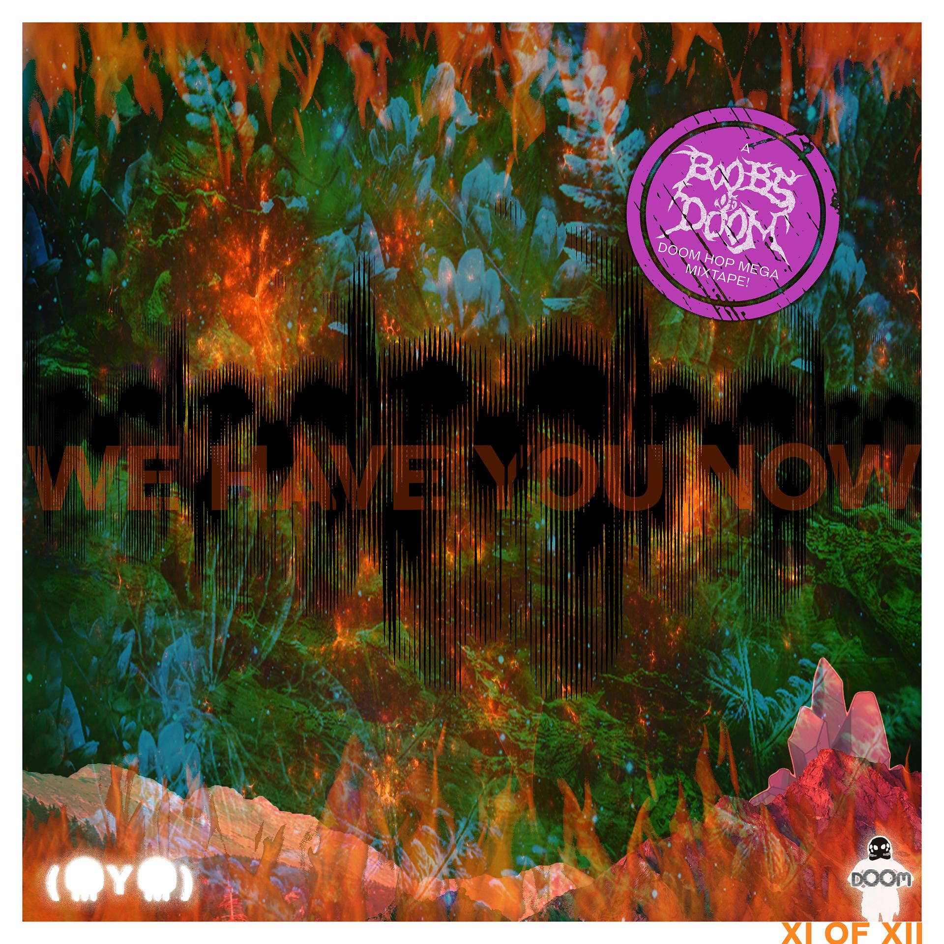 Постер альбома We Have You Now (a Doom Hop Mega Mixtape by Boobs of Doom)