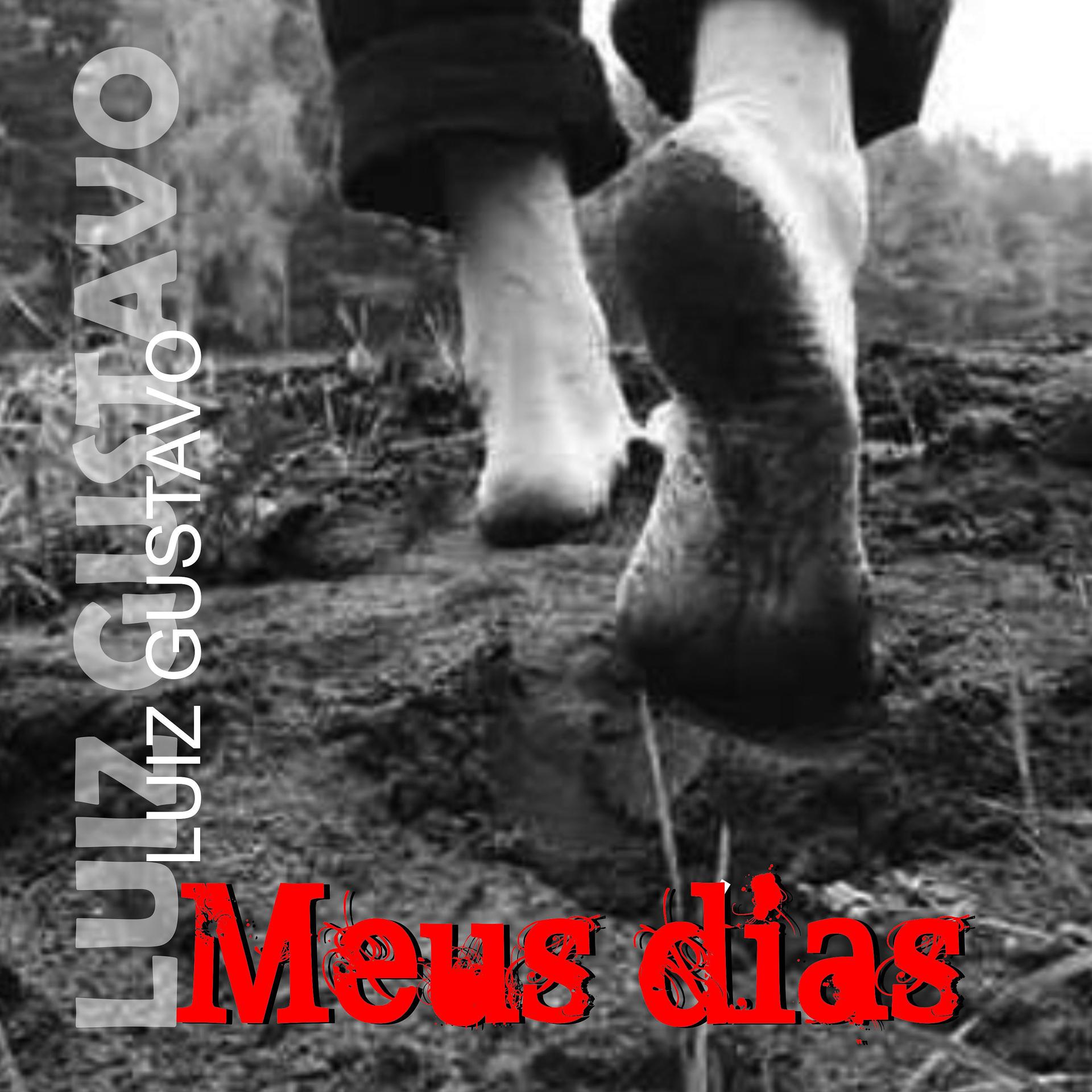 Постер альбома Meus Dias