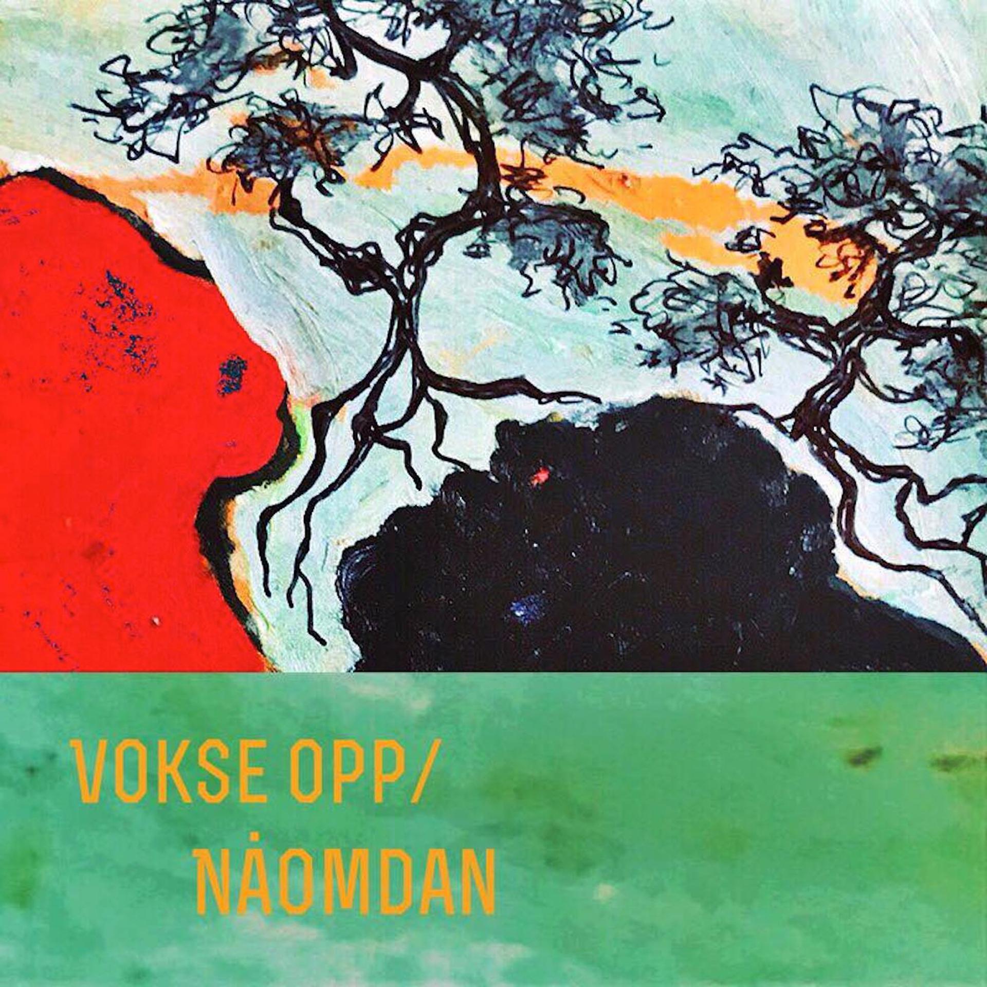 Постер альбома Nåomdan