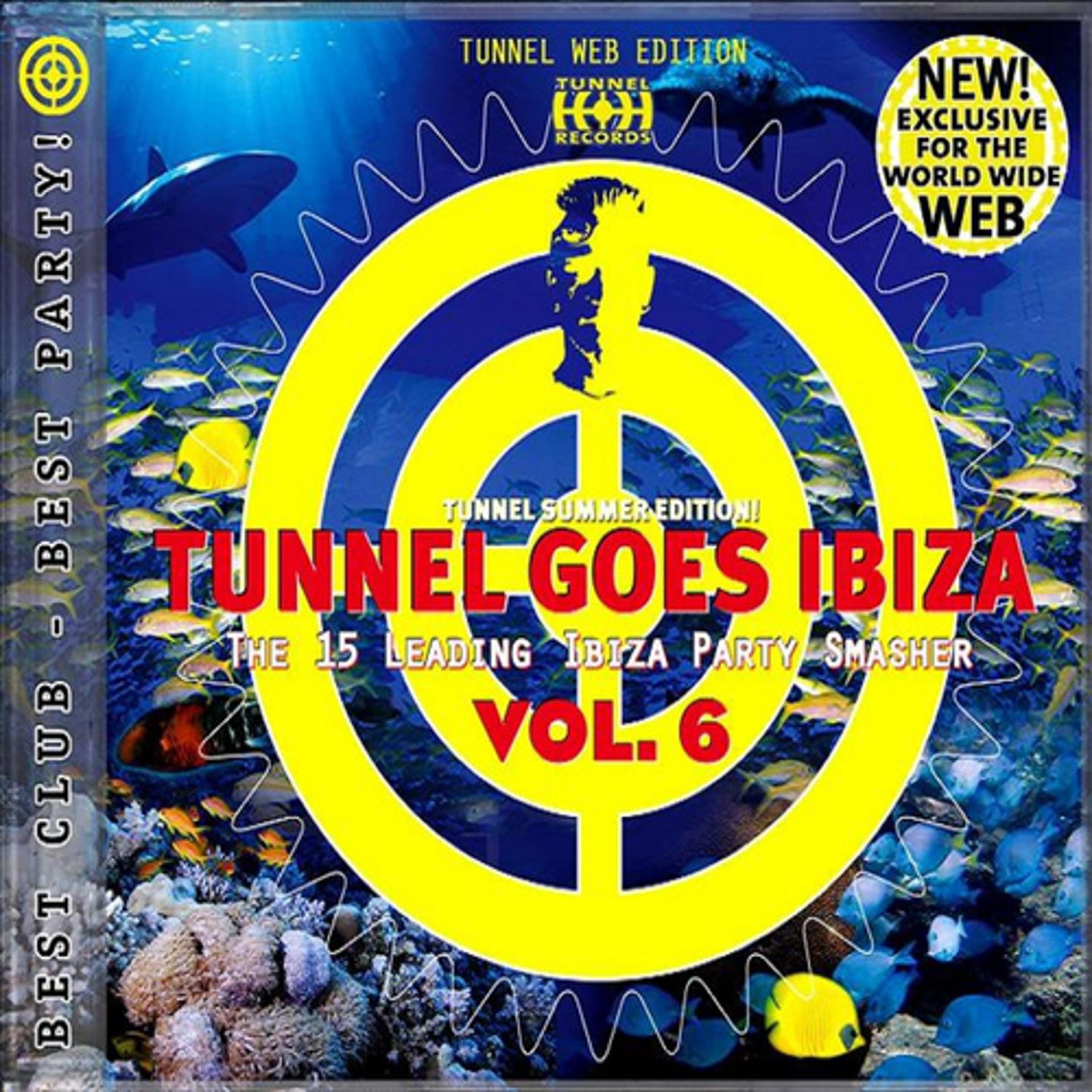 Постер альбома Tunnel goes Ibiza Vol. 6 (Web Edition)