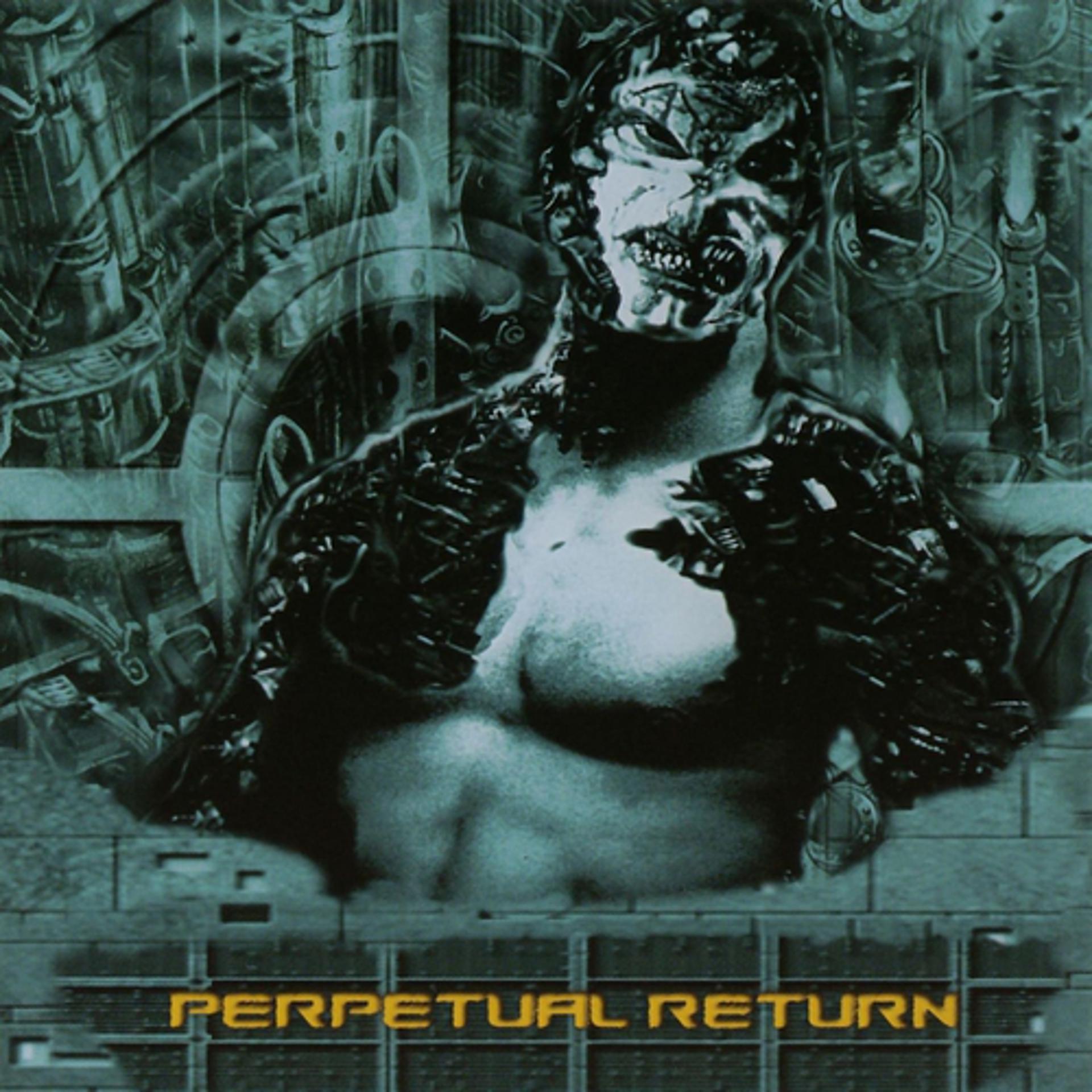 Постер альбома Perpetual Return