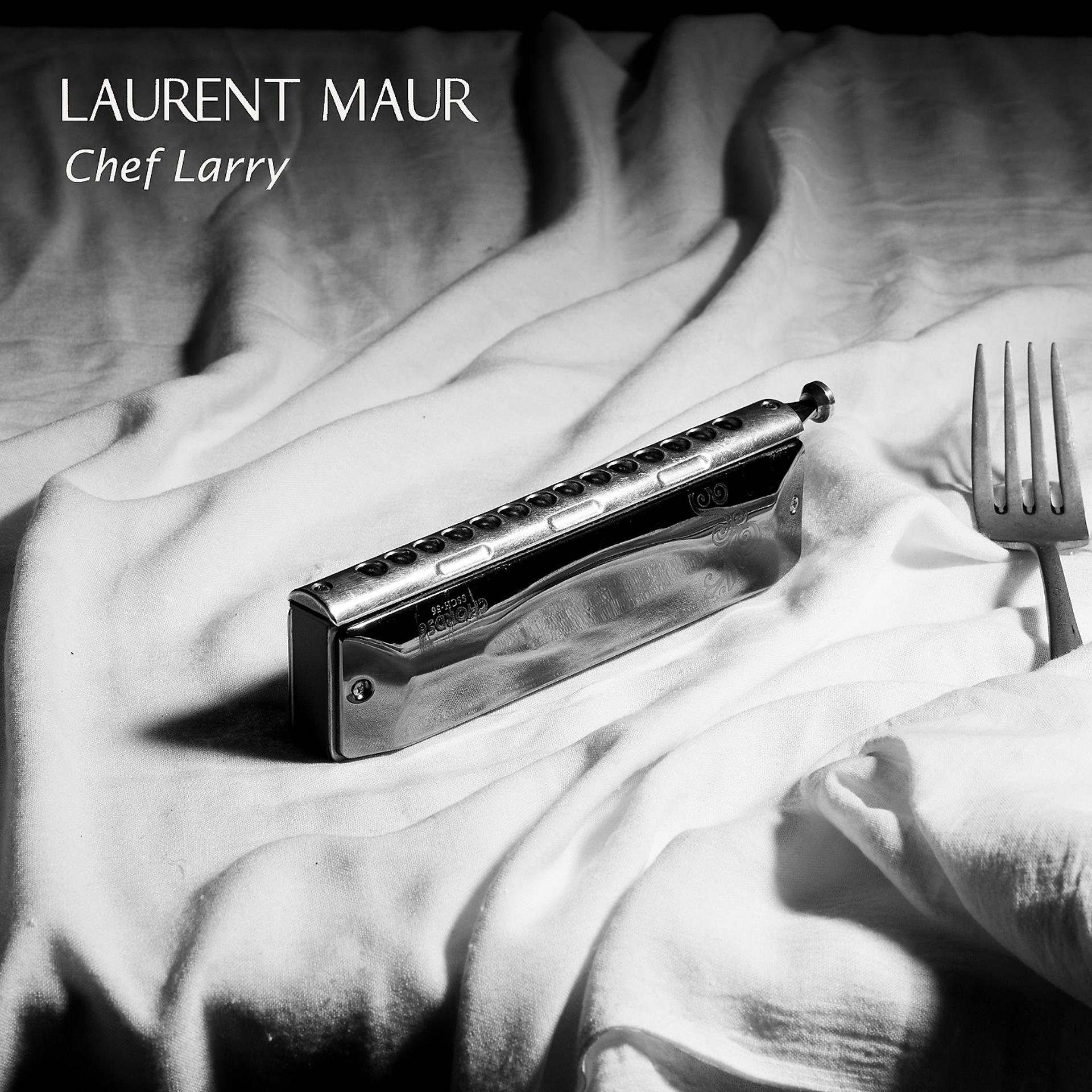 Постер альбома Chef larry