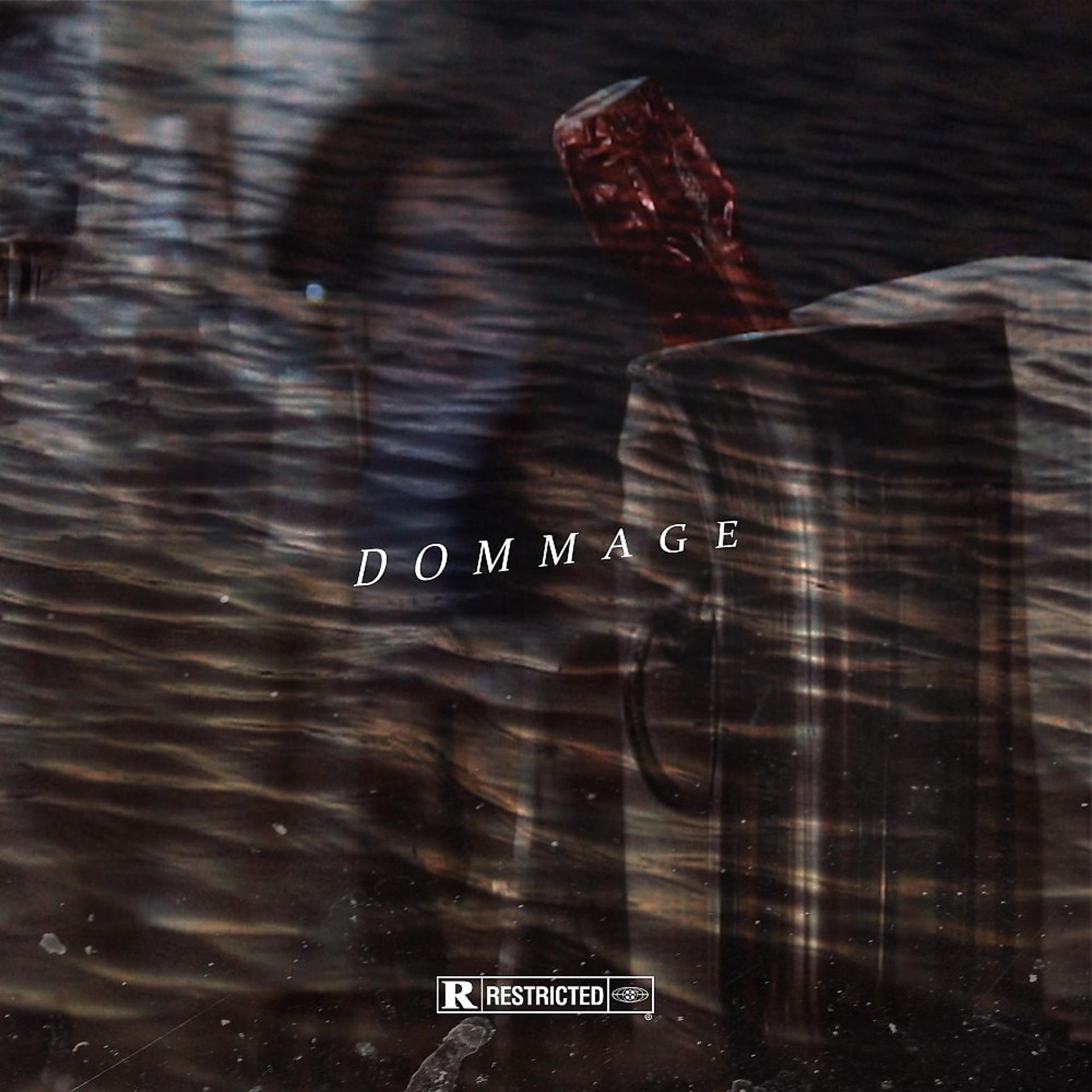 Постер альбома Dommage