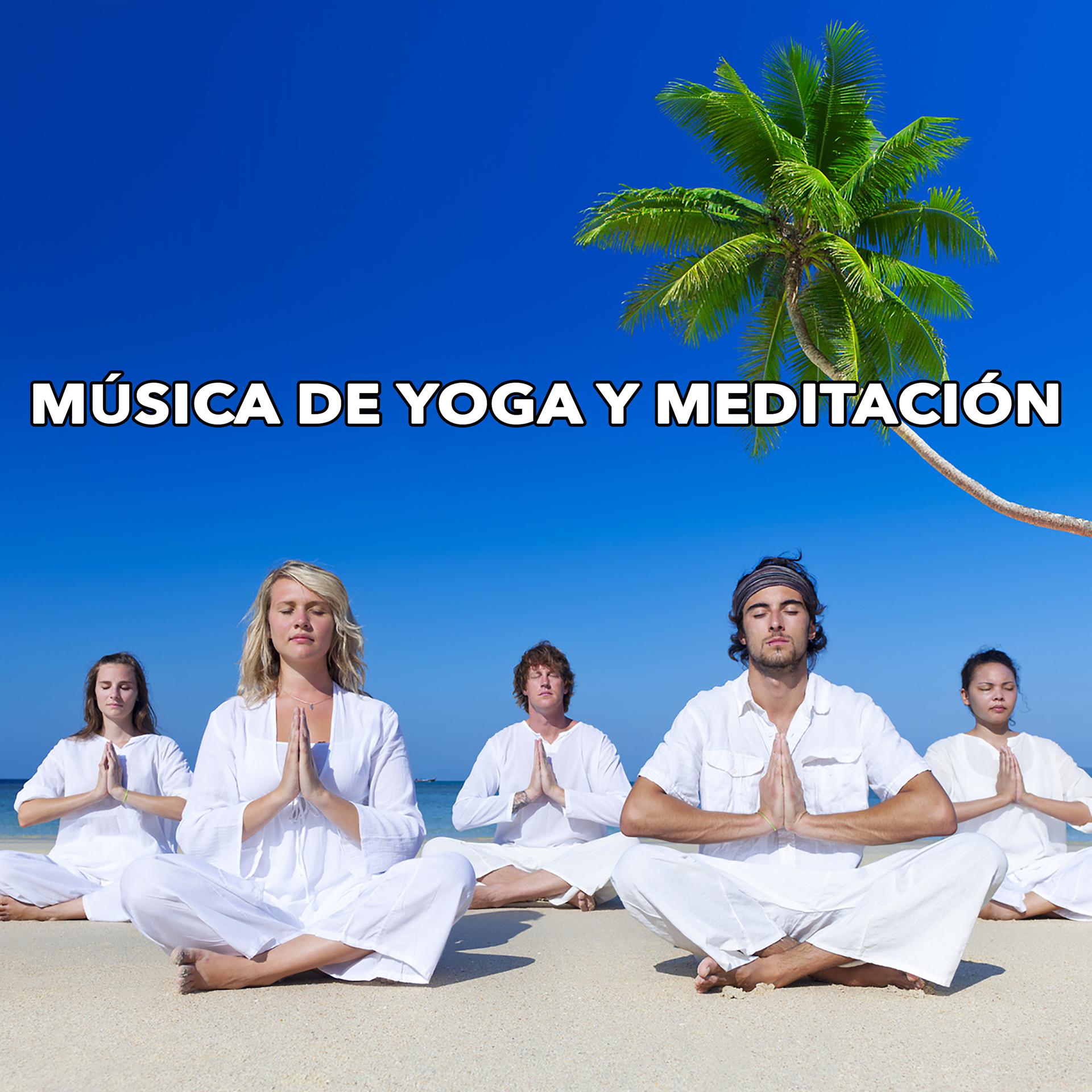 Постер альбома Música De Yoga Y Meditación