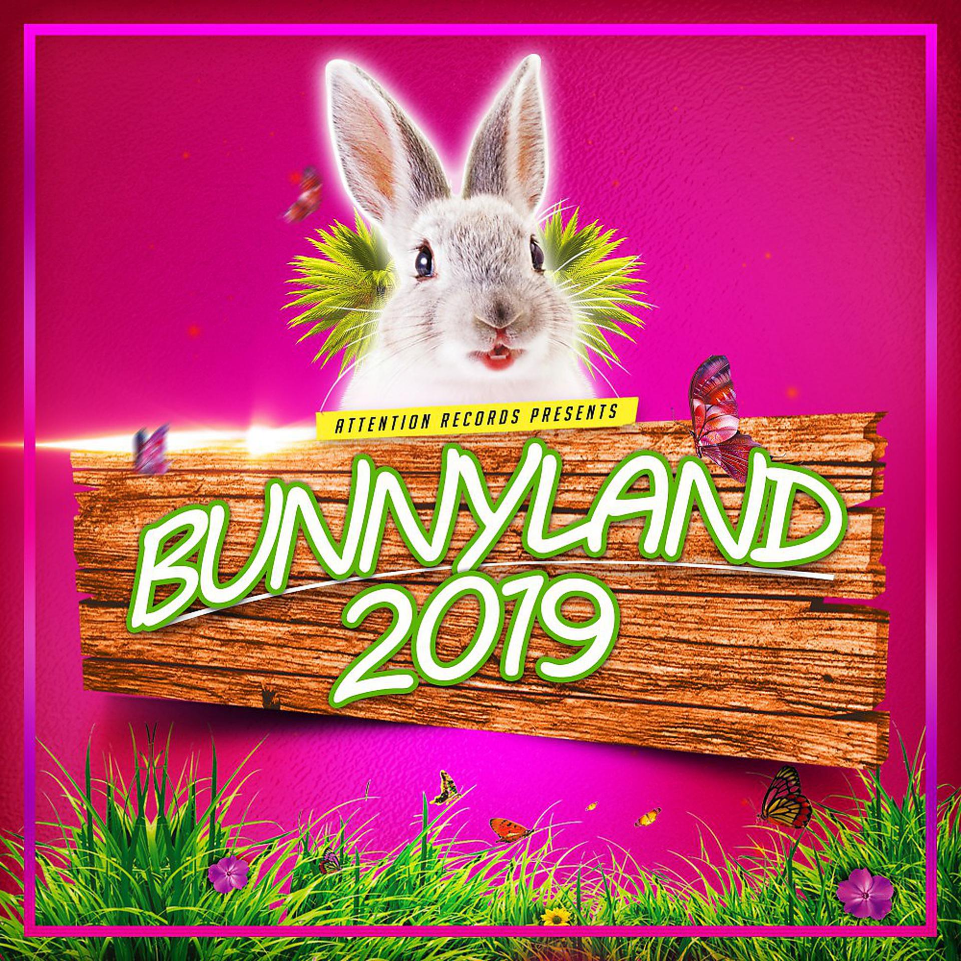 Постер альбома Bunnyland 2019