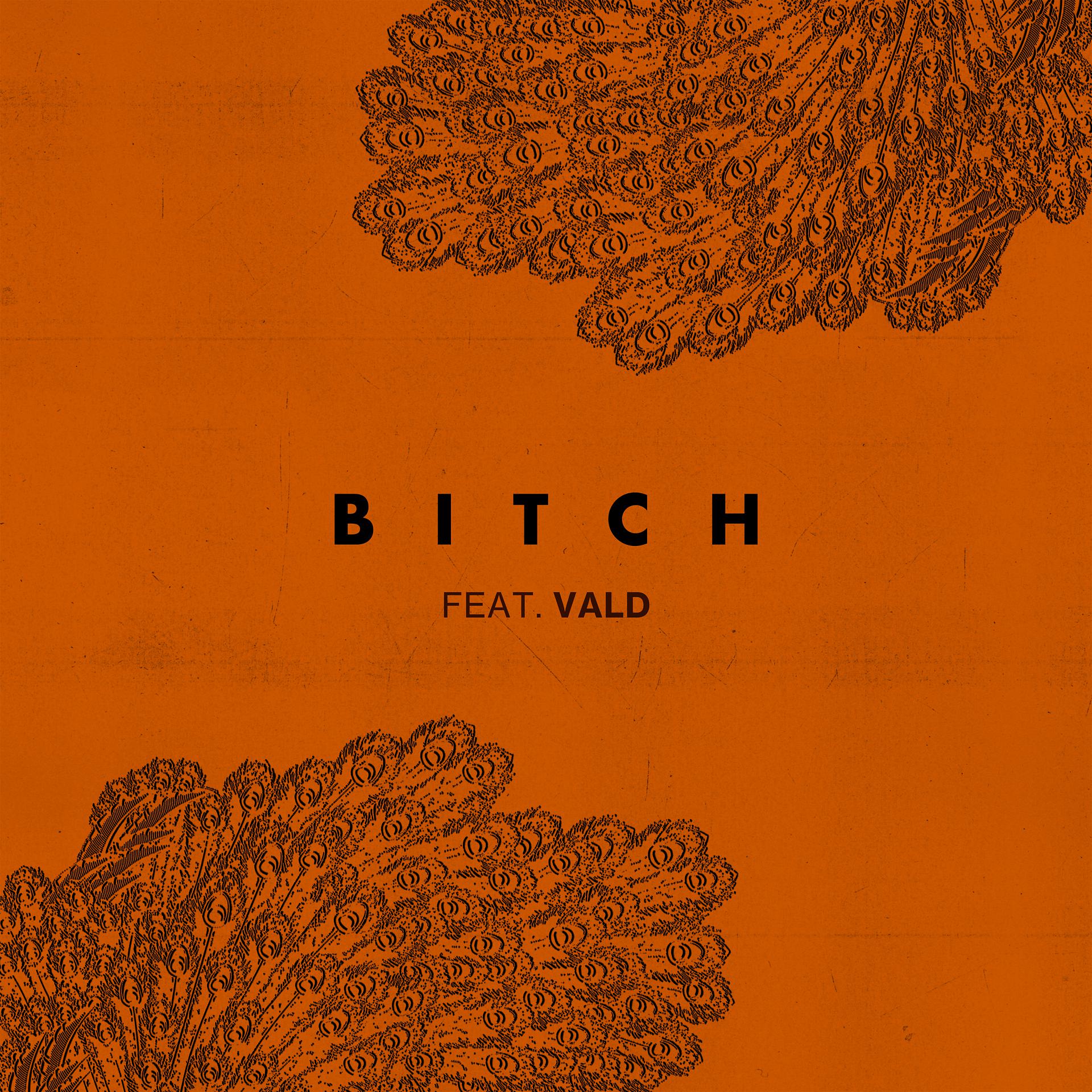Постер альбома Bitch (feat. Vald)