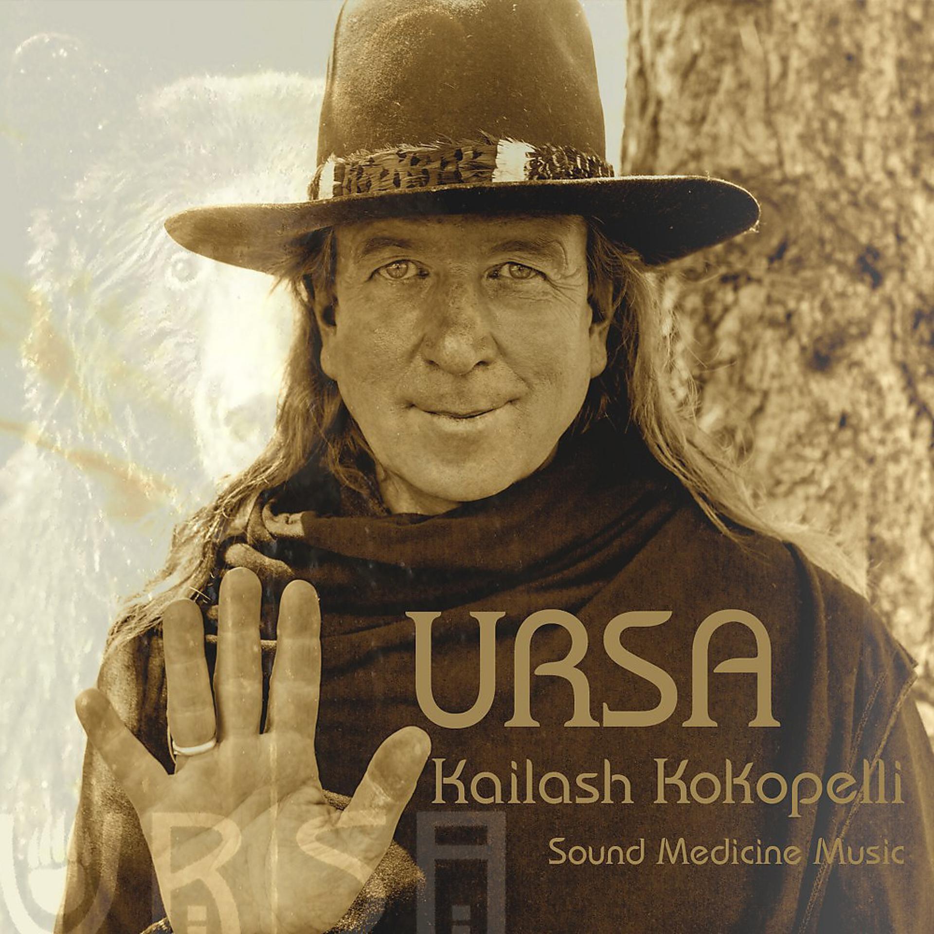 Постер альбома Ursa (Sound Medicine Music & Shamanic Soundscapes)