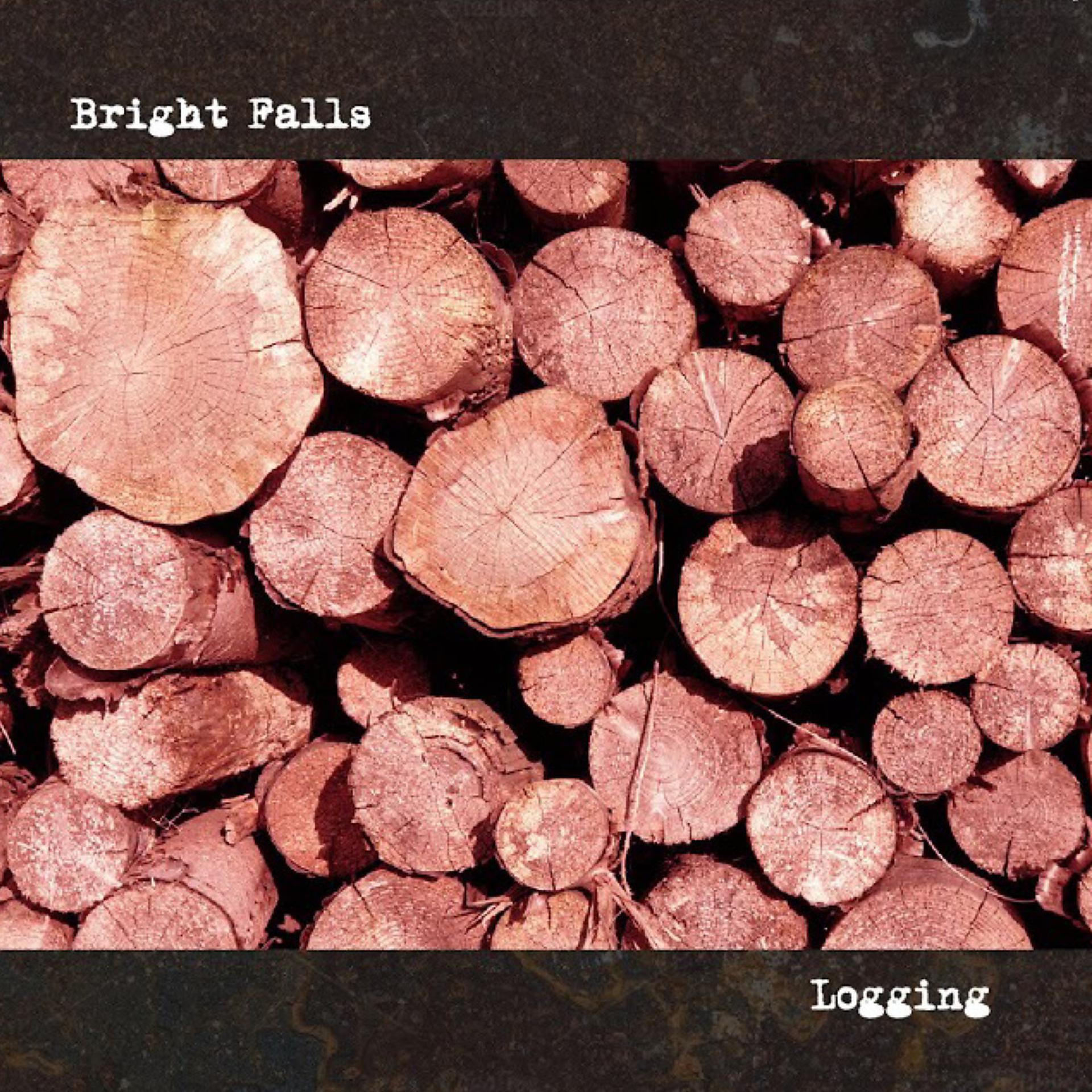 Постер альбома Logging