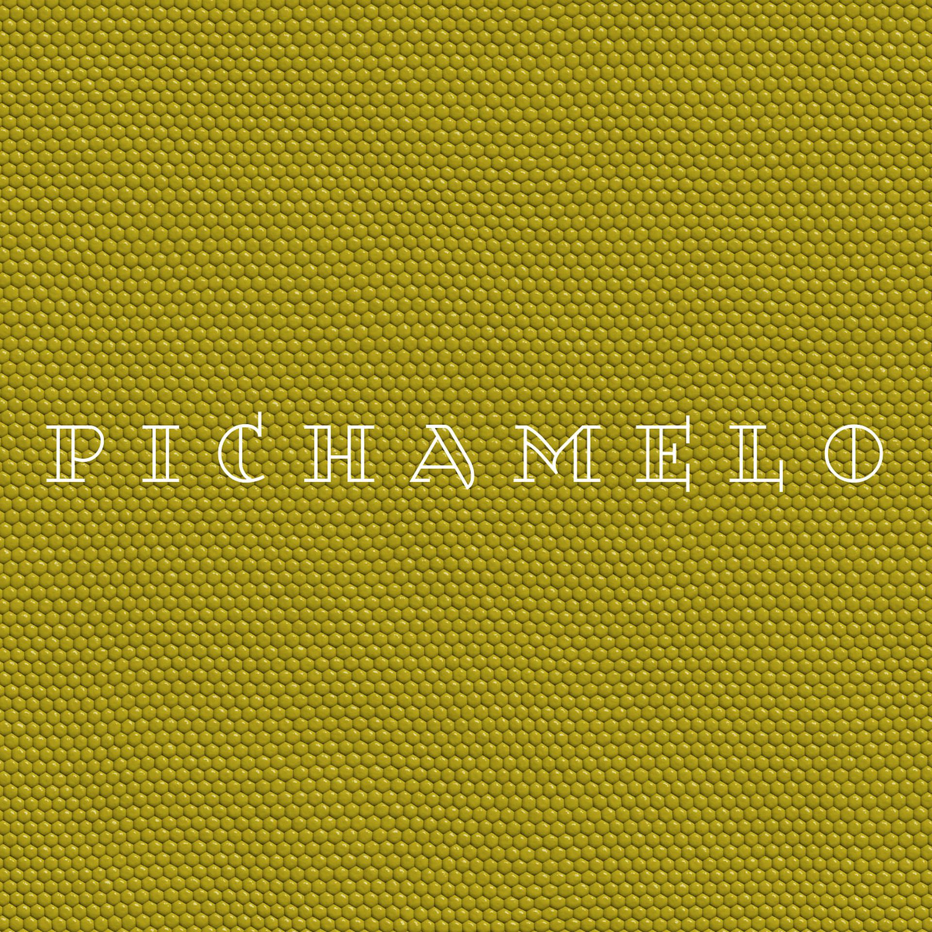 Постер альбома Pichamelo
