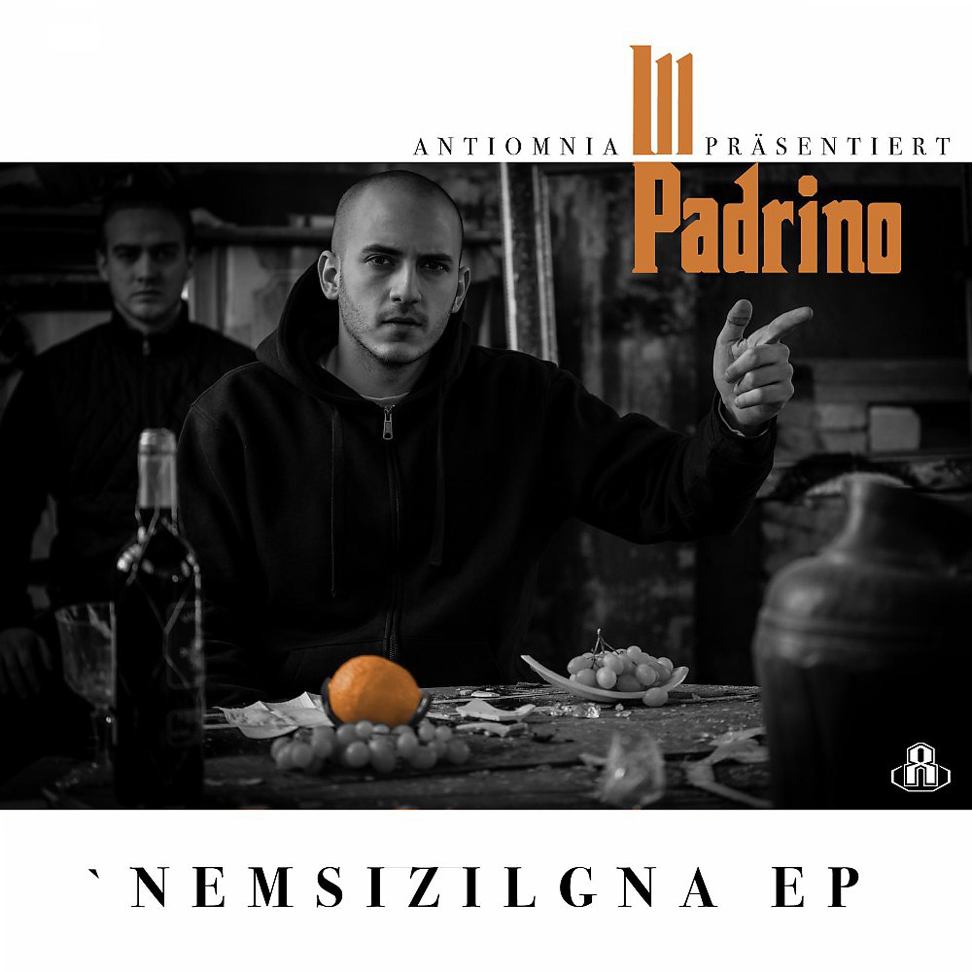 Постер альбома Nemsizilgna