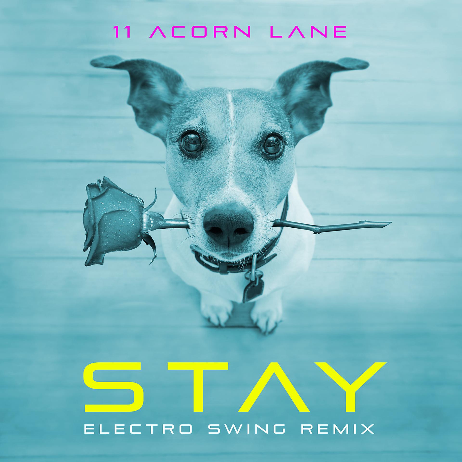 Постер альбома Stay (Electro Swing Remix)