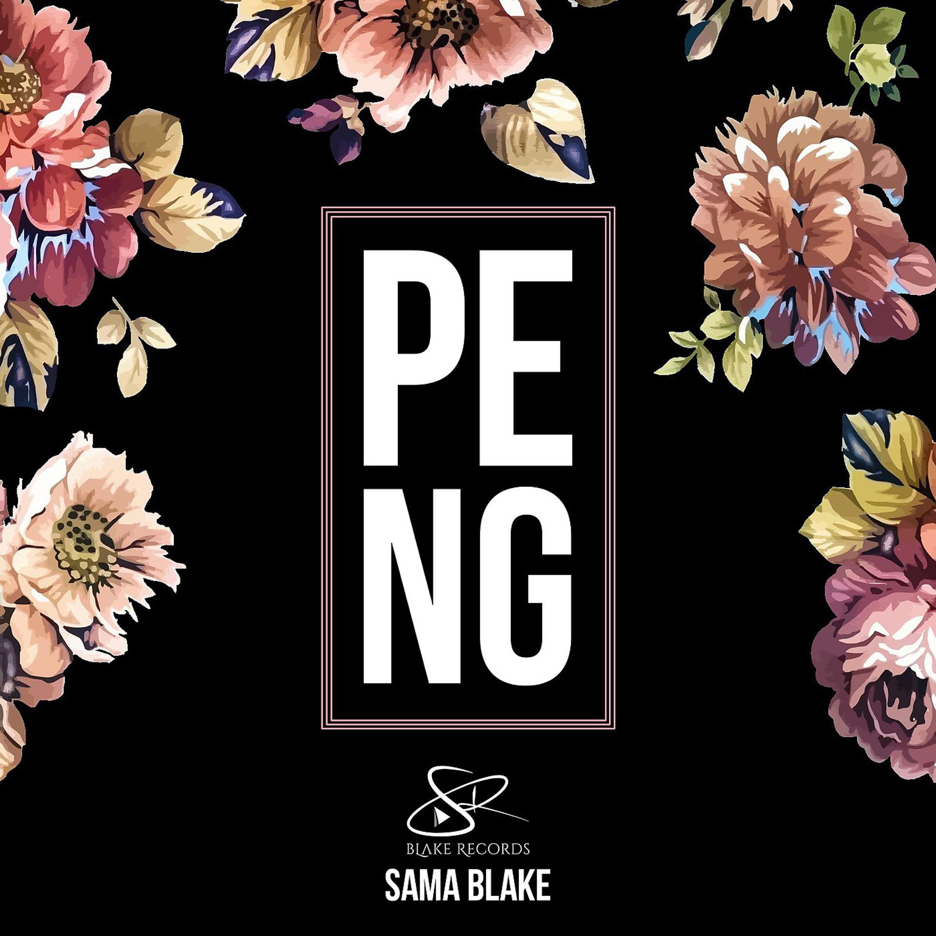 Постер альбома Peng
