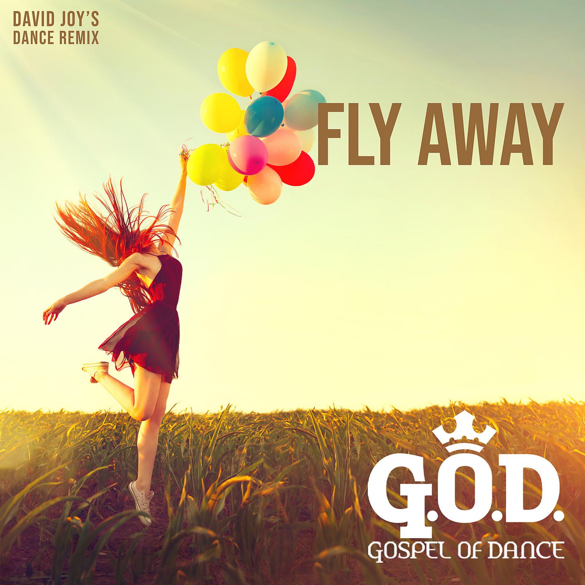 Постер альбома Fly Away (David Joy Dance Remix)