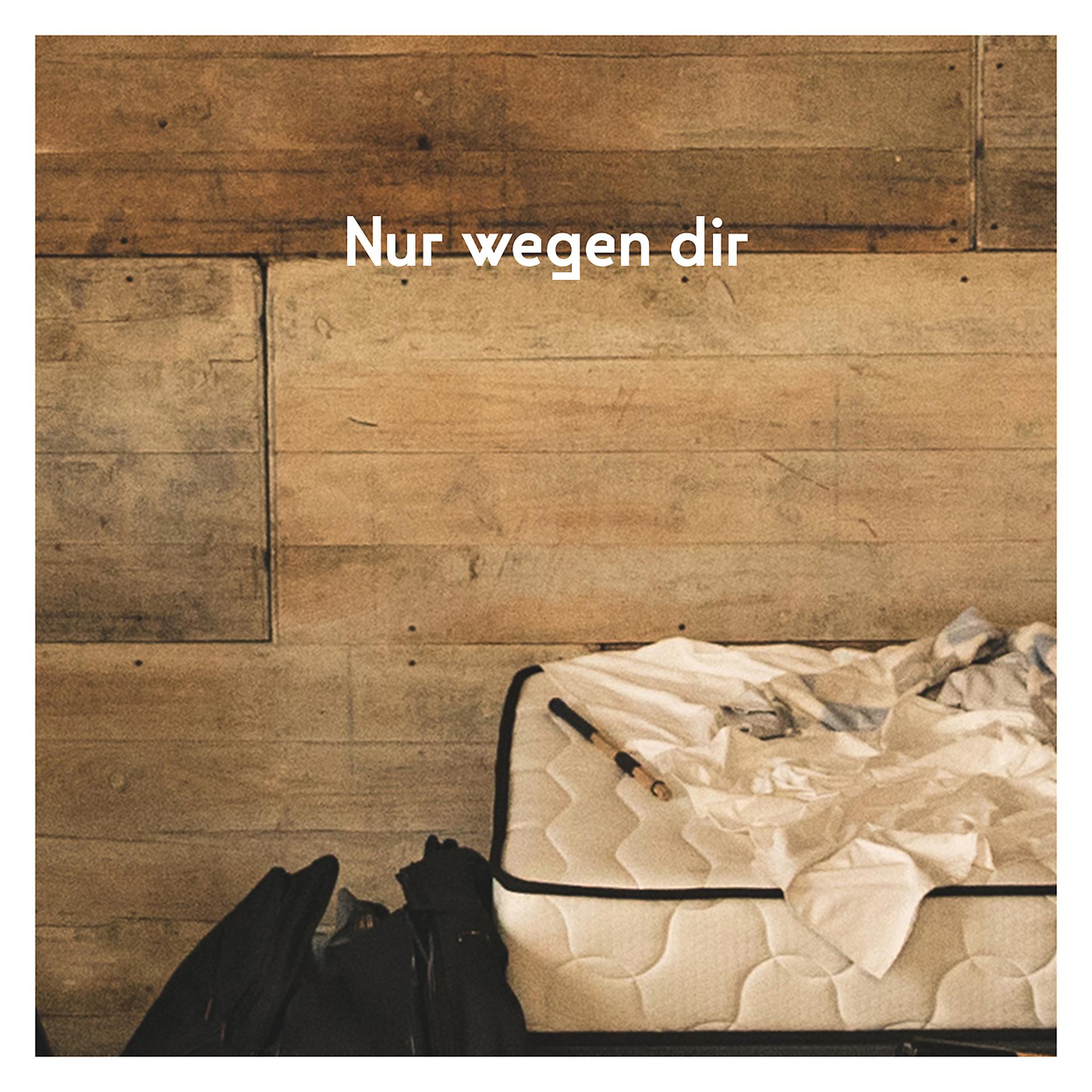 Постер альбома Nur wegen dir