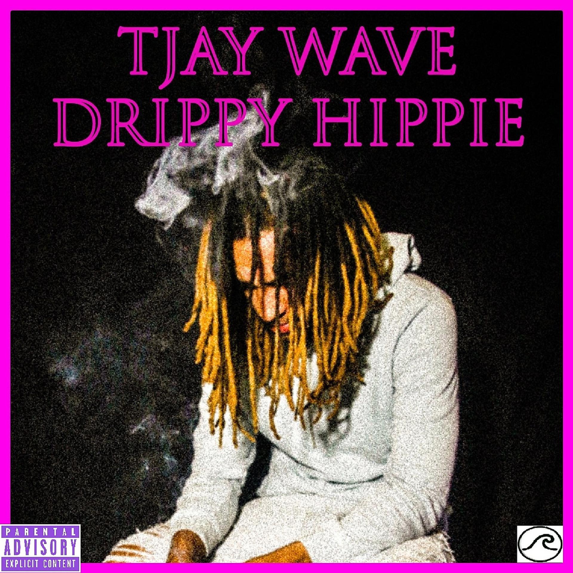 Постер альбома Drippy Hippie
