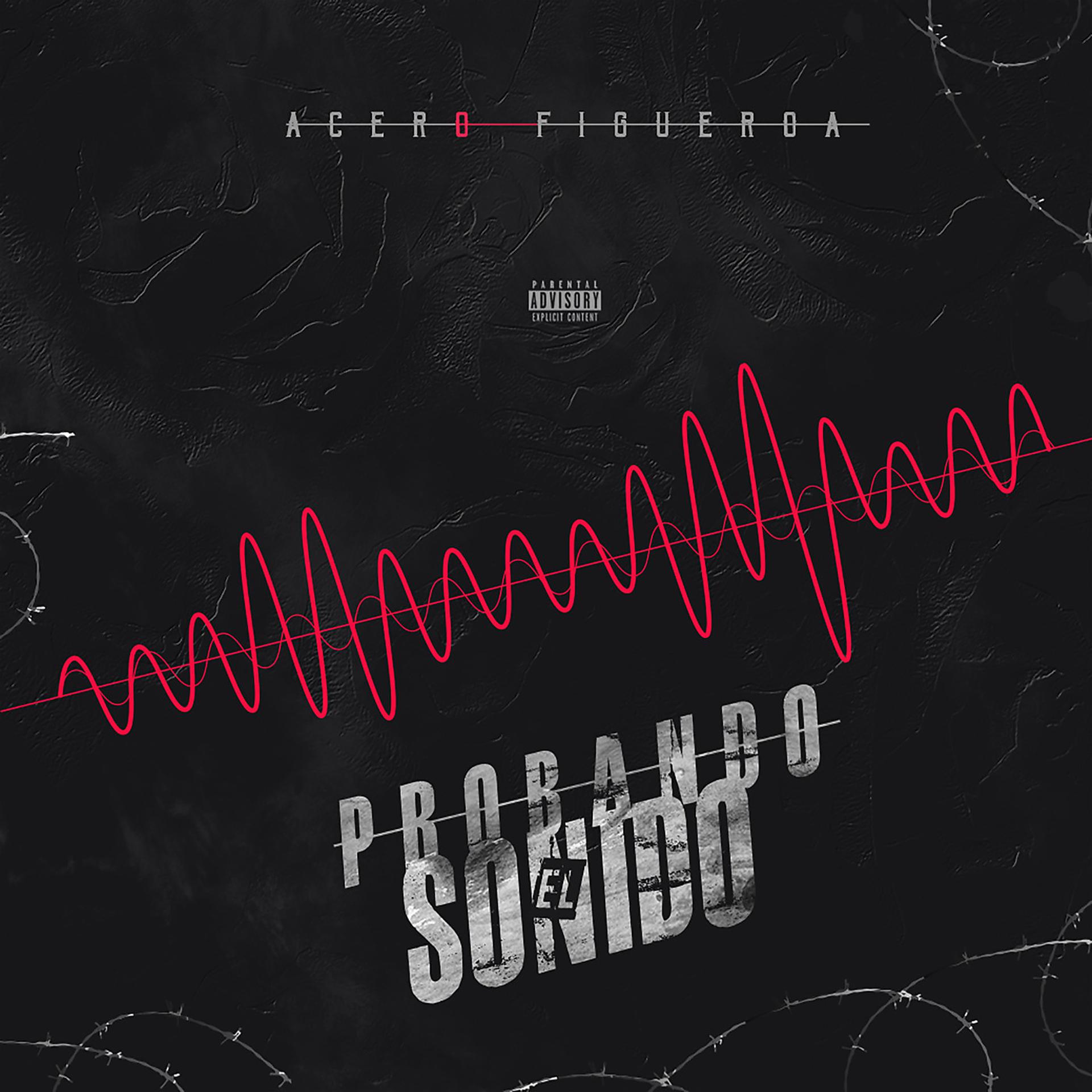 Постер альбома Probando el Sonido