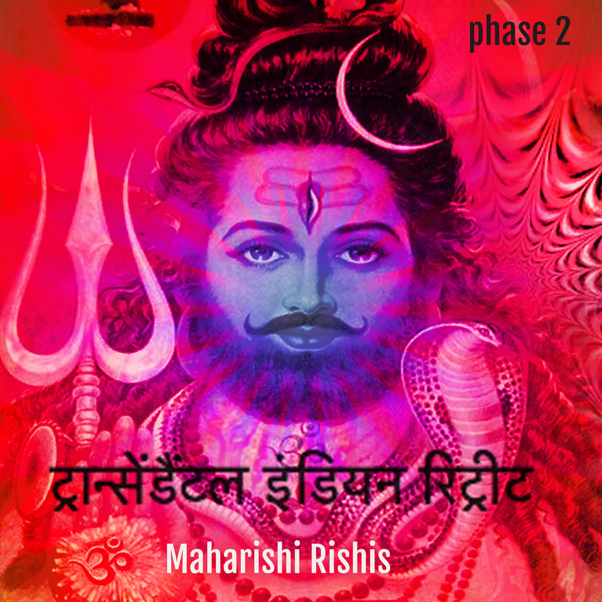 Постер альбома Transcendental Indian Chill Phase 2