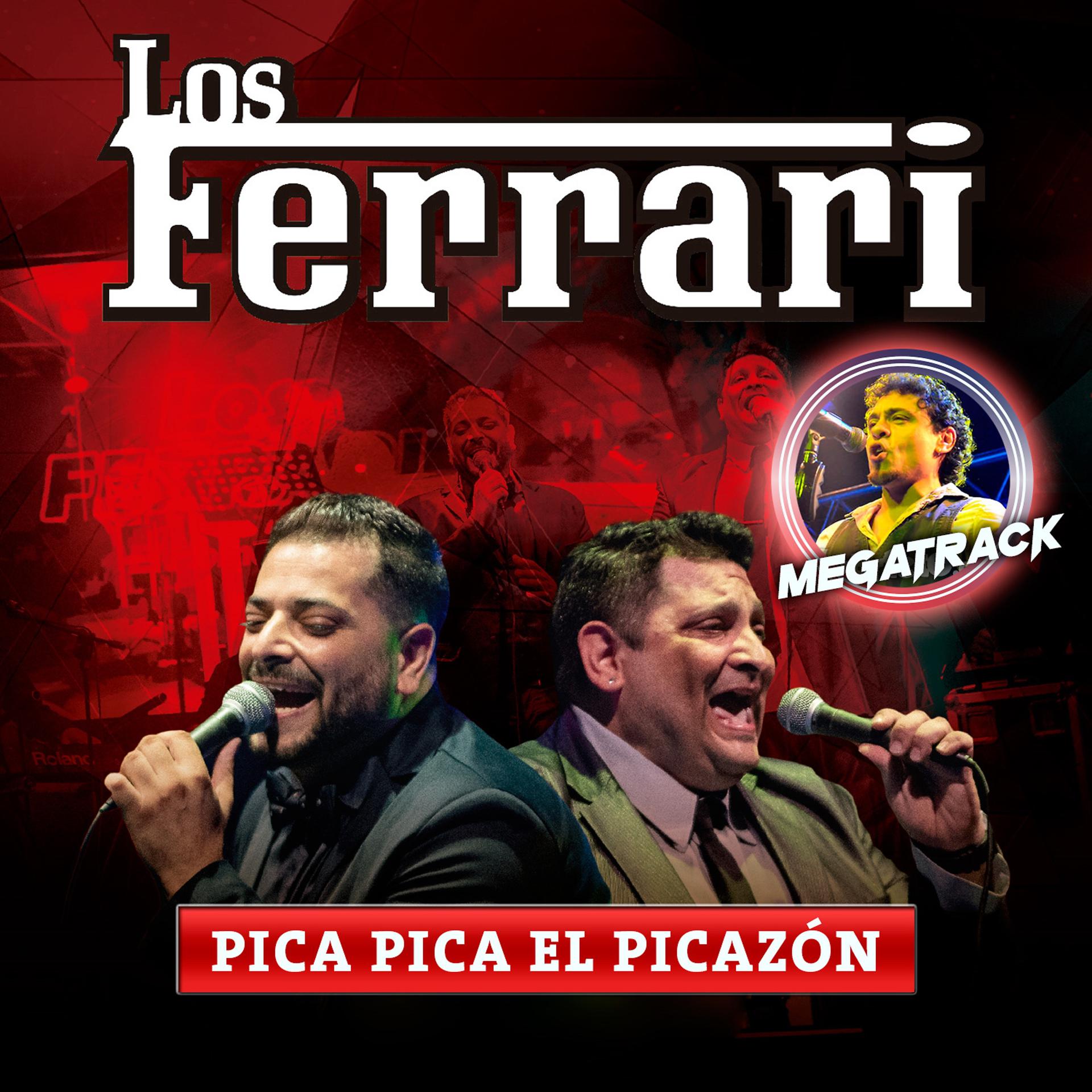 Постер альбома Pica Pica el Picazon