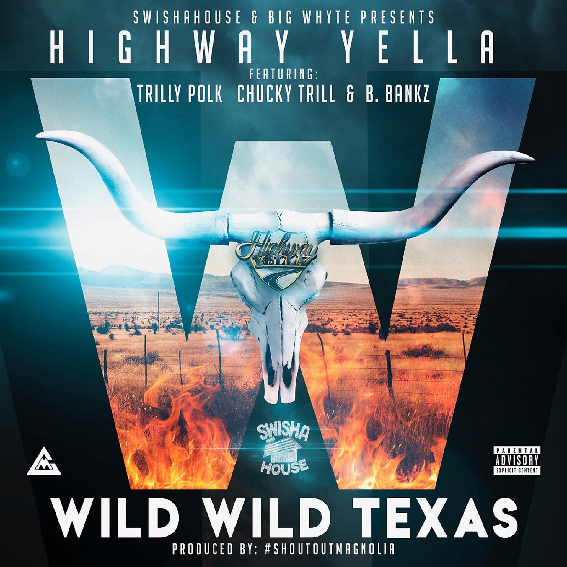 Постер альбома Wild Wild Texas