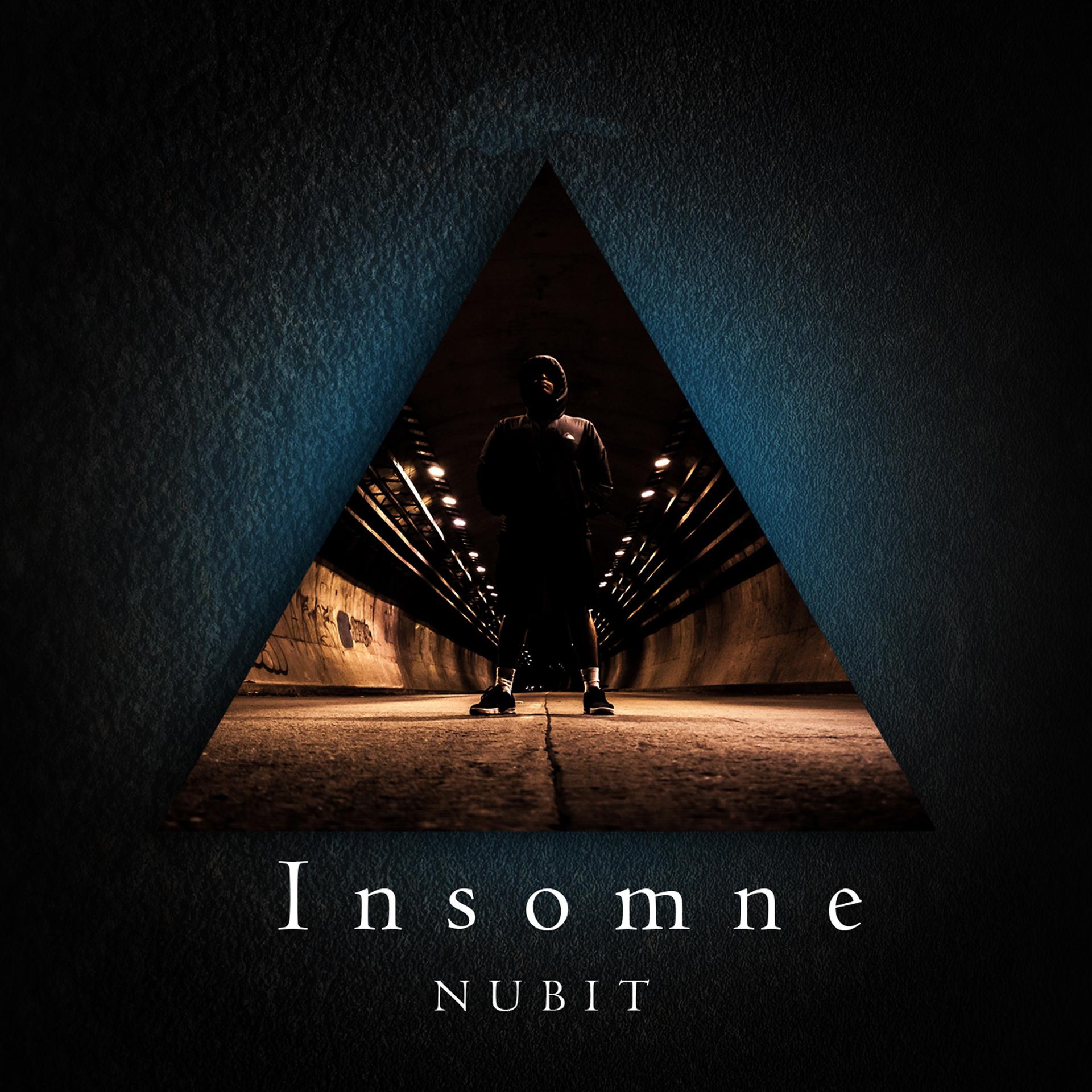 Постер альбома Insomne