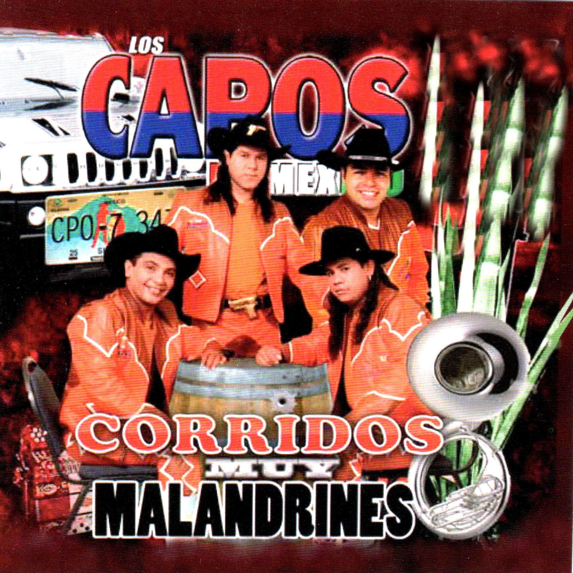 Постер альбома Corridos Malandrines